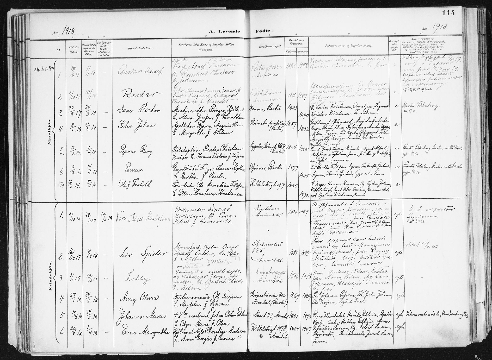 Arendal sokneprestkontor, Trefoldighet, SAK/1111-0040/F/Fa/L0010: Parish register (official) no. A 10, 1900-1919, p. 114