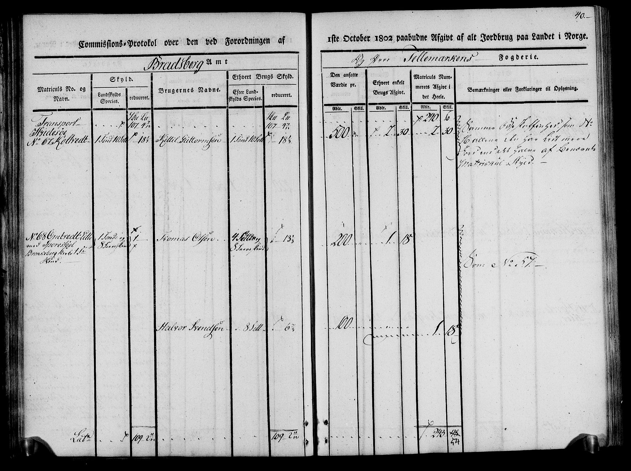 Rentekammeret inntil 1814, Realistisk ordnet avdeling, AV/RA-EA-4070/N/Ne/Nea/L0075: Øvre Telemarken fogderi. Kommisjonsprotokoll for fogderiets vestre del - Kviteseid, Vinje, Moland [):Fyresdal] og Lårdal prestegjeld., 1803, p. 40