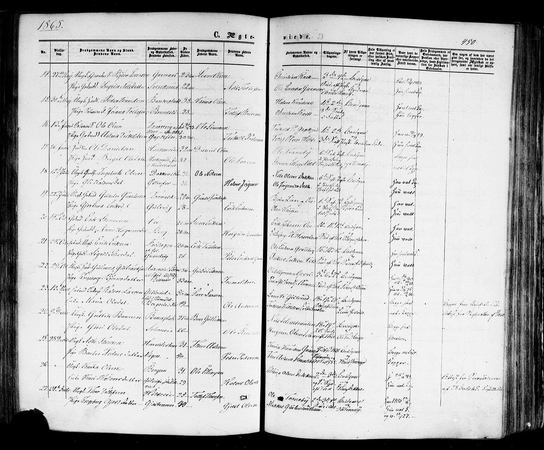 Nes kirkebøker, SAKO/A-236/F/Fa/L0010: Parish register (official) no. 10, 1864-1880, p. 450