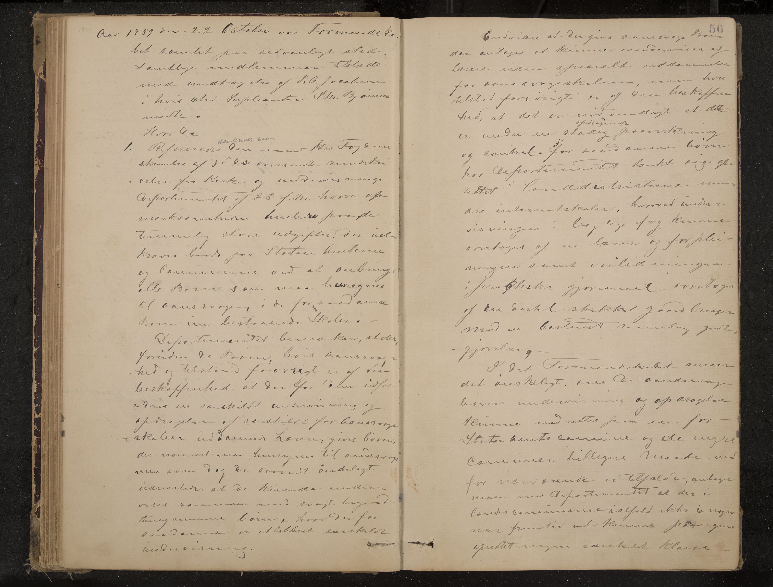 Nøtterøy formannskap og sentraladministrasjon, IKAK/0722021-1/A/Aa/L0004: Møtebok, 1887-1896, p. 56