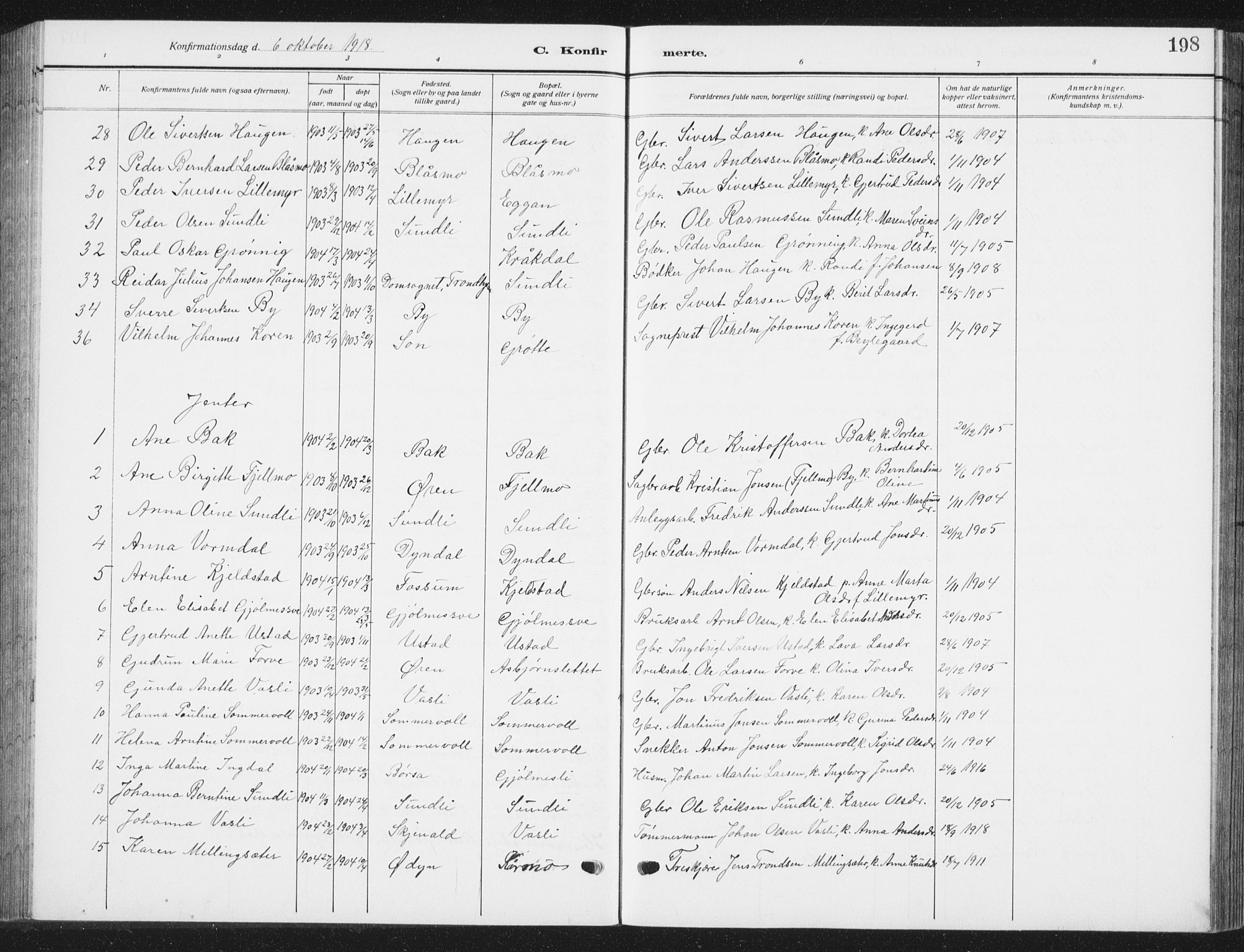 Ministerialprotokoller, klokkerbøker og fødselsregistre - Sør-Trøndelag, AV/SAT-A-1456/668/L0820: Parish register (copy) no. 668C09, 1912-1936, p. 198