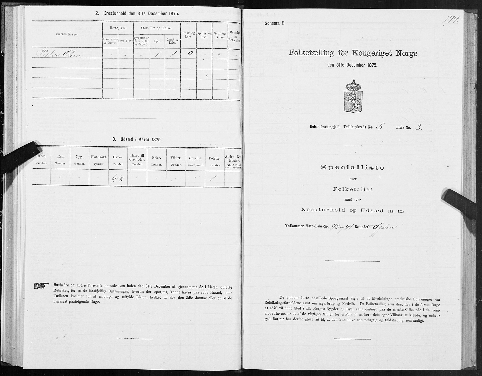 SAT, 1875 census for 1544P Bolsøy, 1875, p. 3174