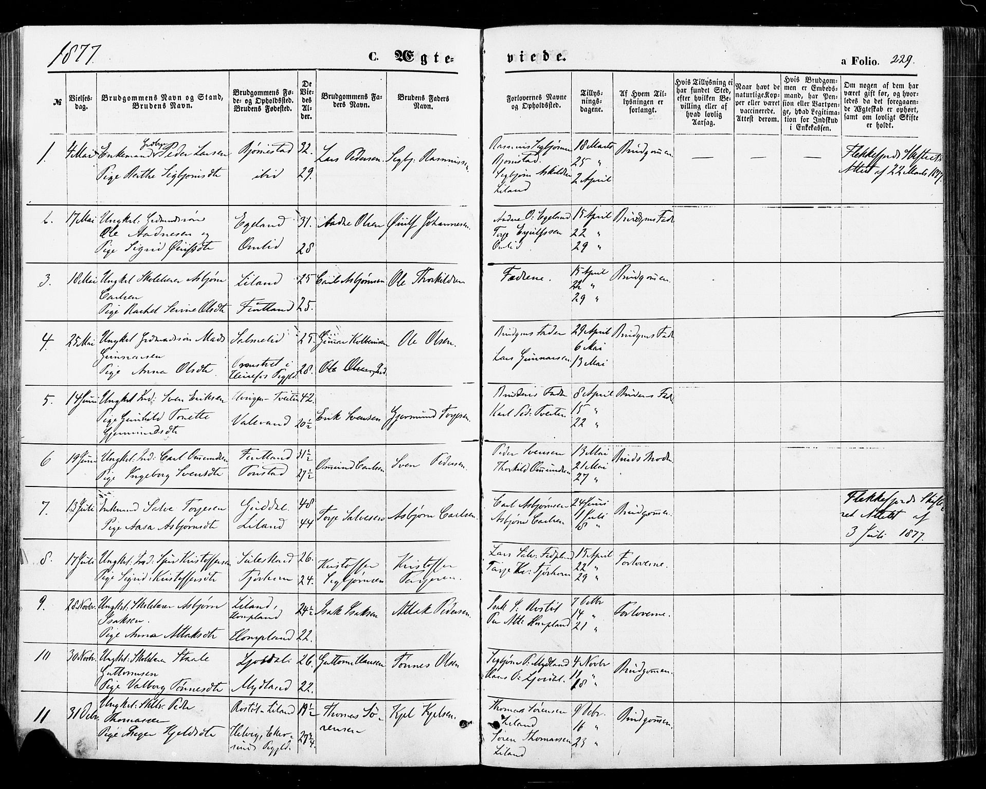 Sirdal sokneprestkontor, AV/SAK-1111-0036/F/Fa/Fab/L0003: Parish register (official) no. A 3, 1874-1886, p. 229