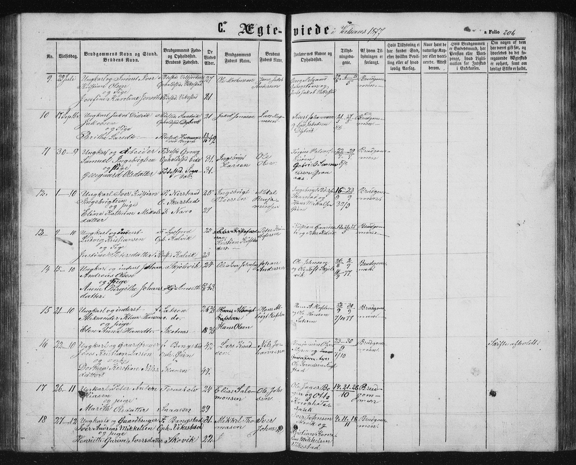 Ministerialprotokoller, klokkerbøker og fødselsregistre - Nordland, AV/SAT-A-1459/810/L0158: Parish register (copy) no. 810C02 /1, 1863-1883, p. 206