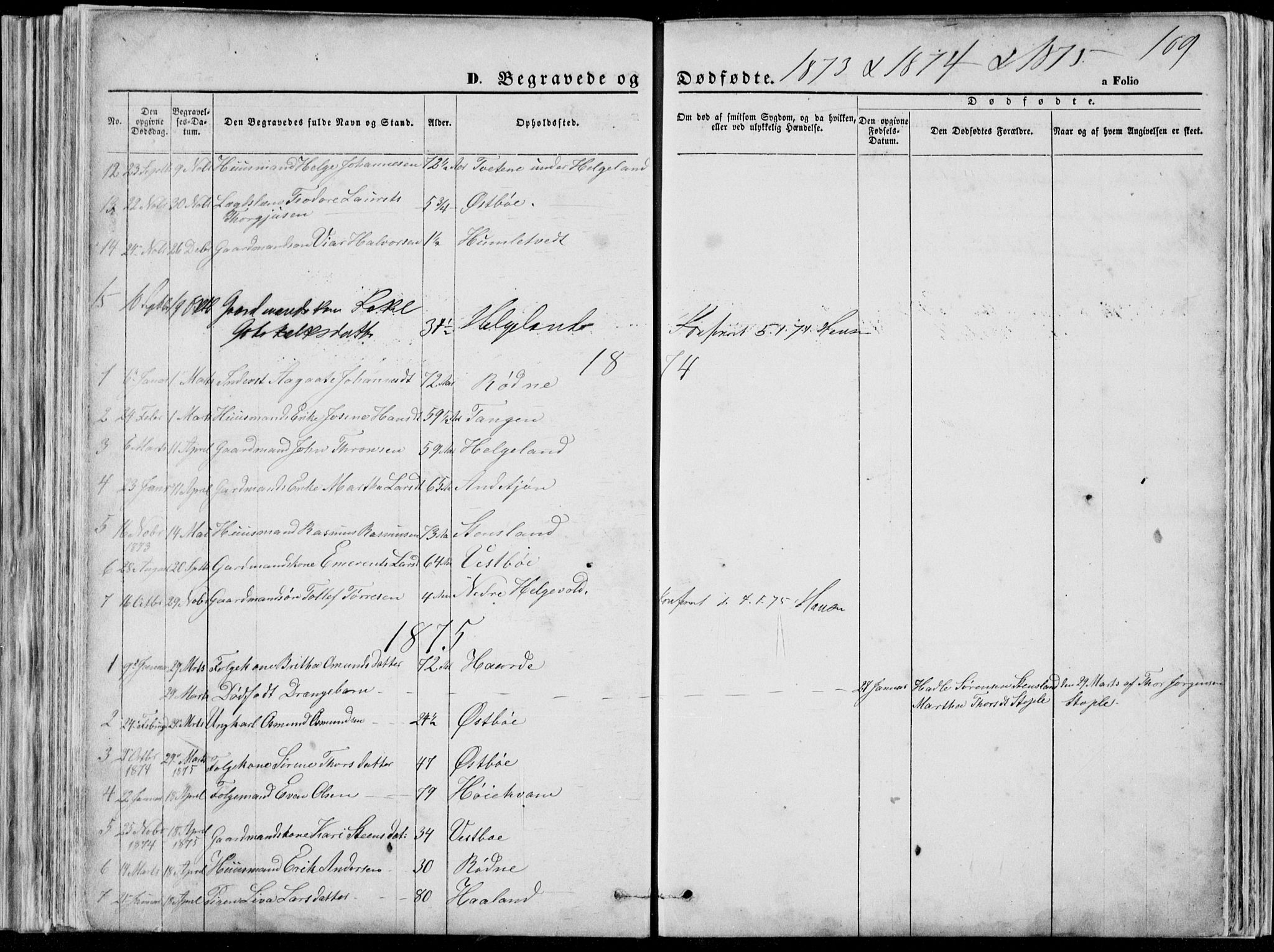 Vikedal sokneprestkontor, SAST/A-101840/01/V: Parish register (copy) no. B 10, 1864-1926, p. 109