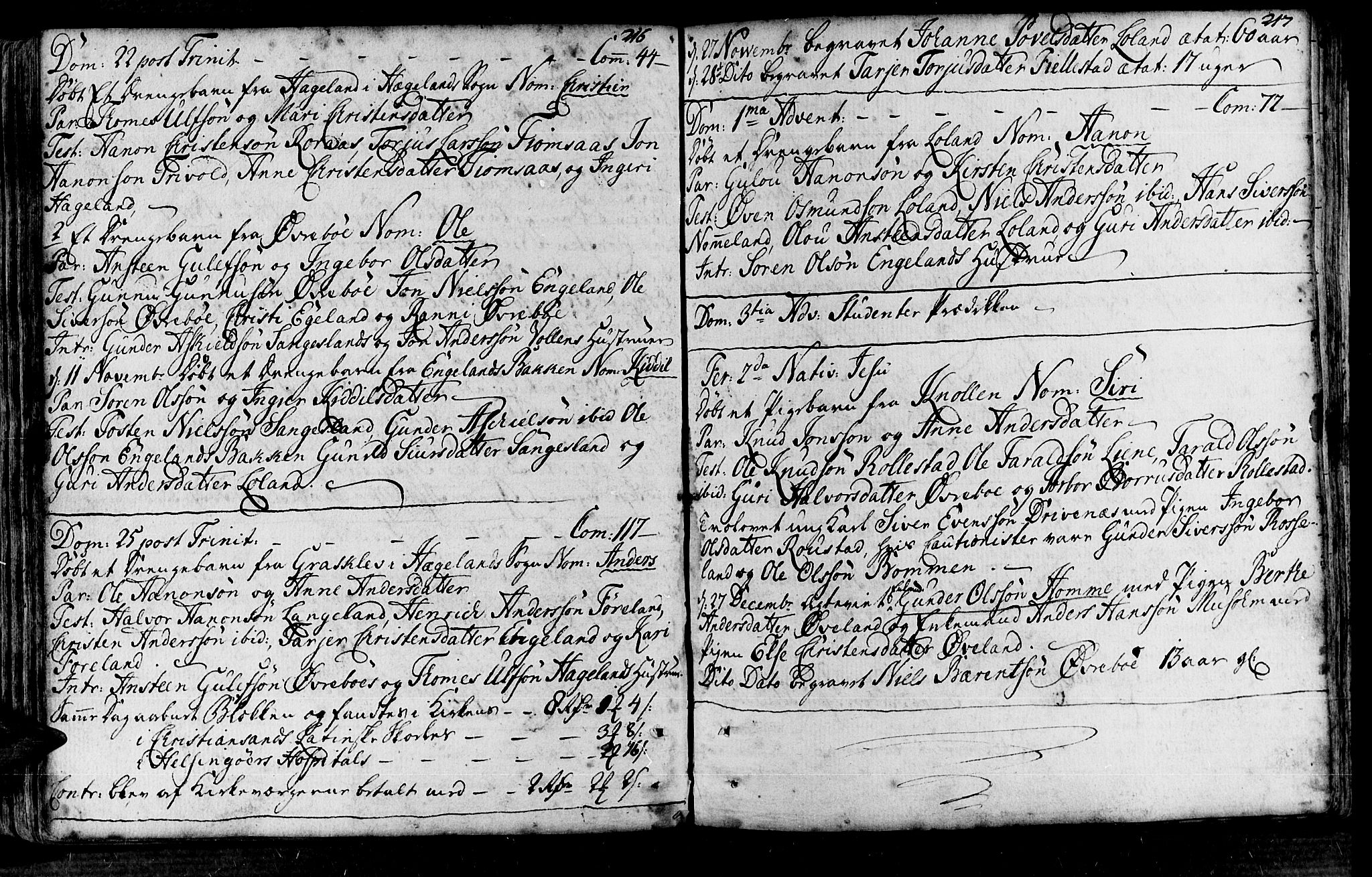 Vennesla sokneprestkontor, AV/SAK-1111-0045/Fa/Fac/L0001: Parish register (official) no. A 1, 1743-1784, p. 216-217