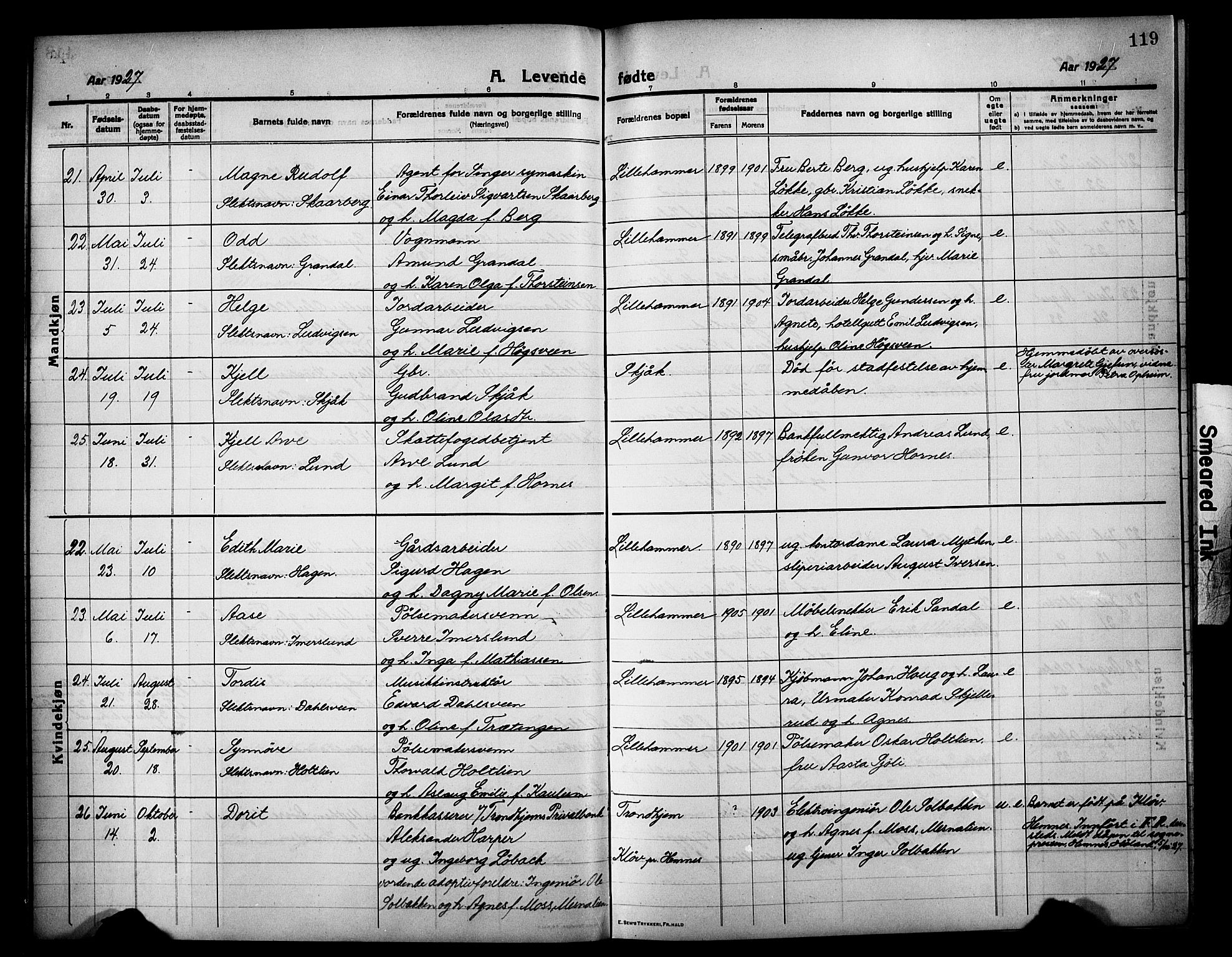 Lillehammer prestekontor, SAH/PREST-088/H/Ha/Hab/L0002: Parish register (copy) no. 2, 1913-1929, p. 119