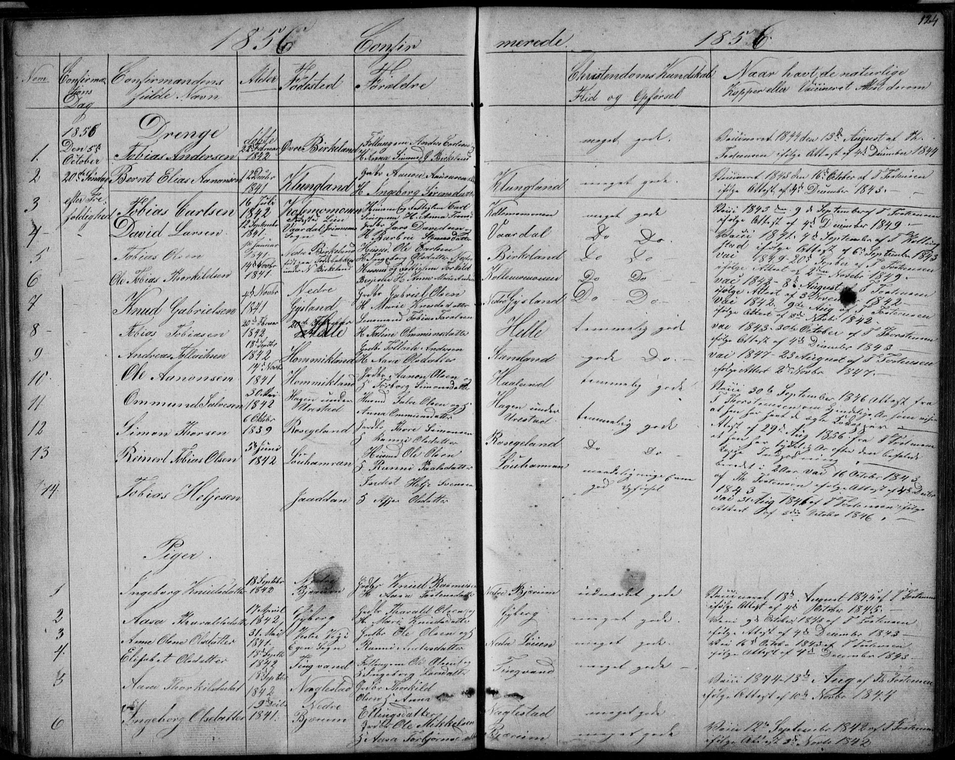 Hægebostad sokneprestkontor, AV/SAK-1111-0024/F/Fb/Fba/L0002: Parish register (copy) no. B 2, 1851-1882, p. 124