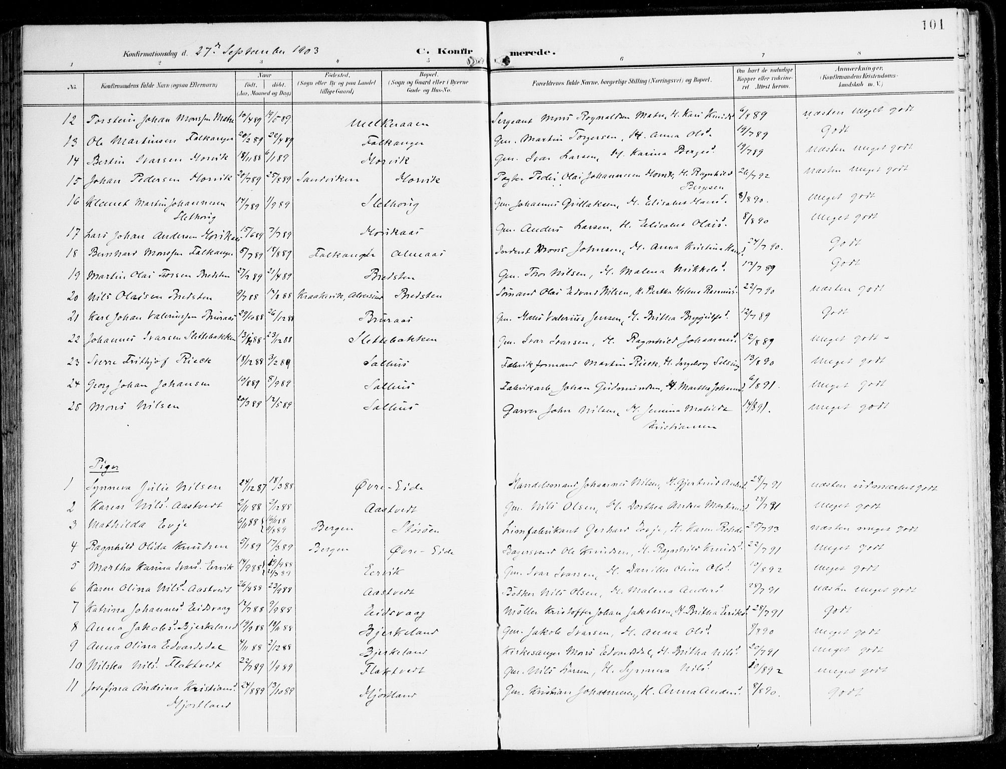 Hamre sokneprestembete, AV/SAB-A-75501/H/Ha/Haa/Haad/L0002: Parish register (official) no. D 2, 1899-1916, p. 101