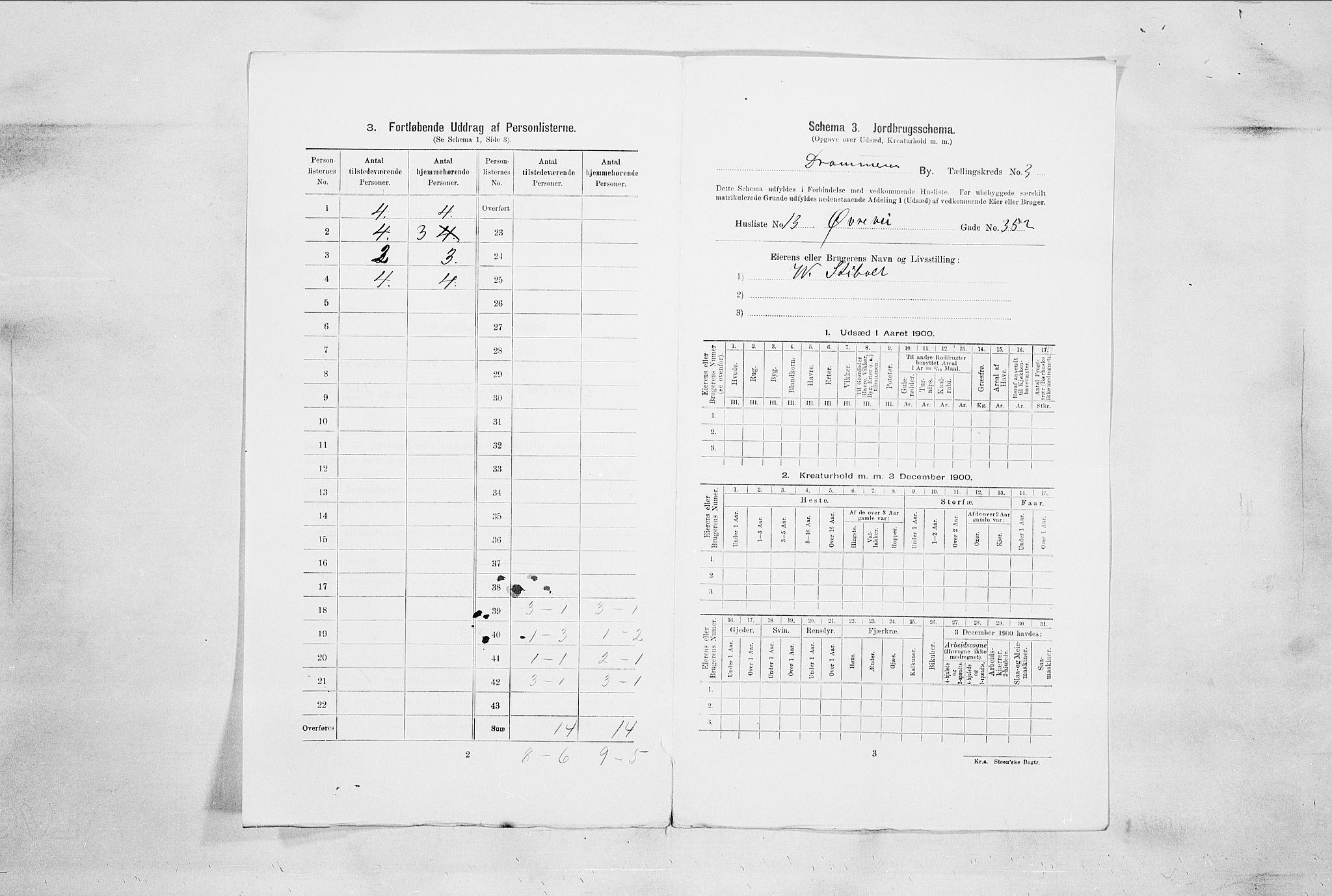 RA, 1900 census for Drammen, 1900, p. 869