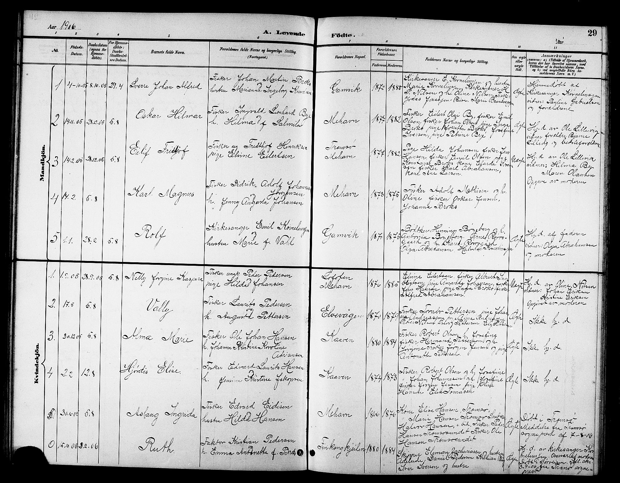 Tana sokneprestkontor, SATØ/S-1334/H/Hb/L0006klokker: Parish register (copy) no. 6, 1892-1909, p. 29
