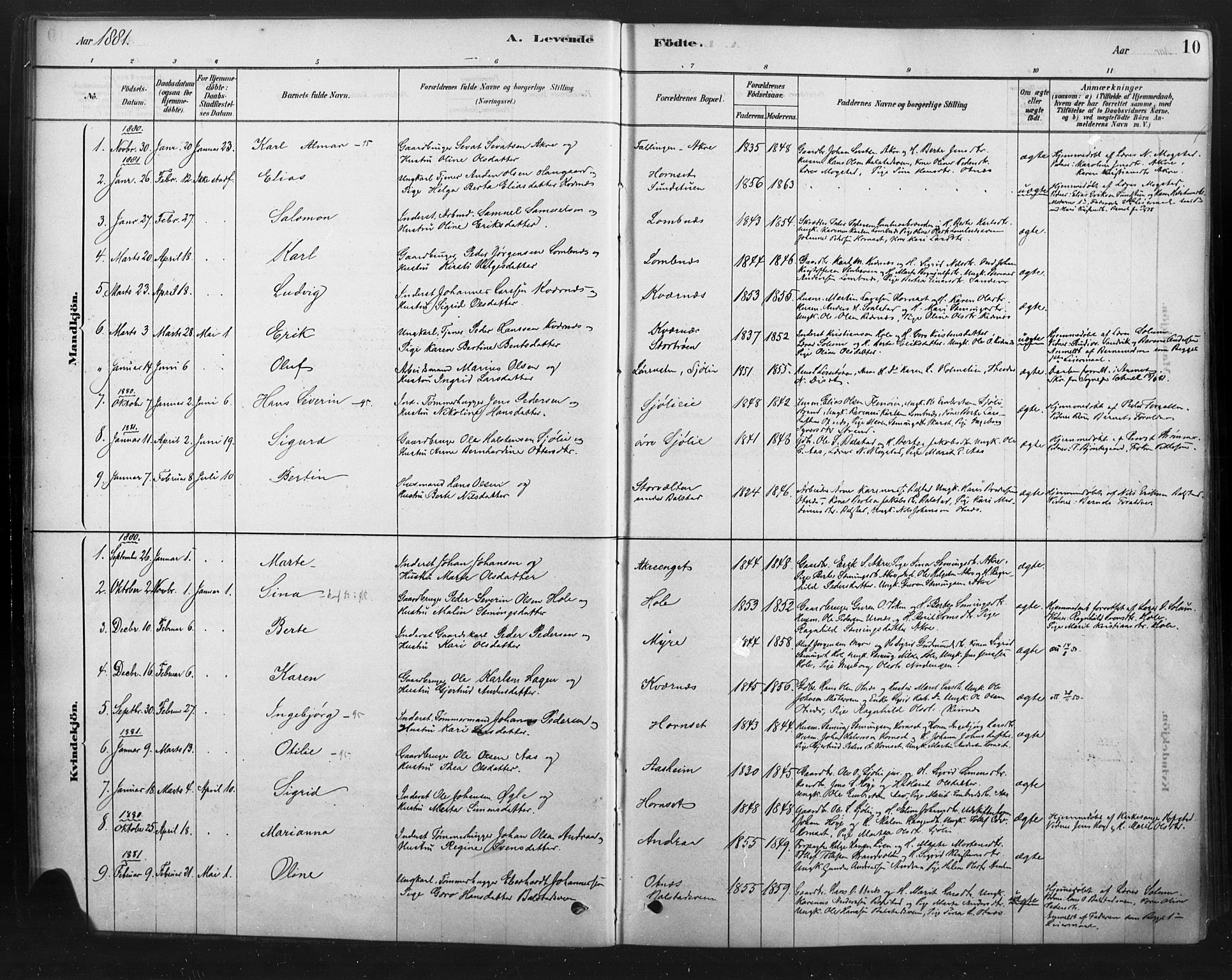 Rendalen prestekontor, SAH/PREST-054/H/Ha/Haa/L0010: Parish register (official) no. 10, 1878-1901, p. 10