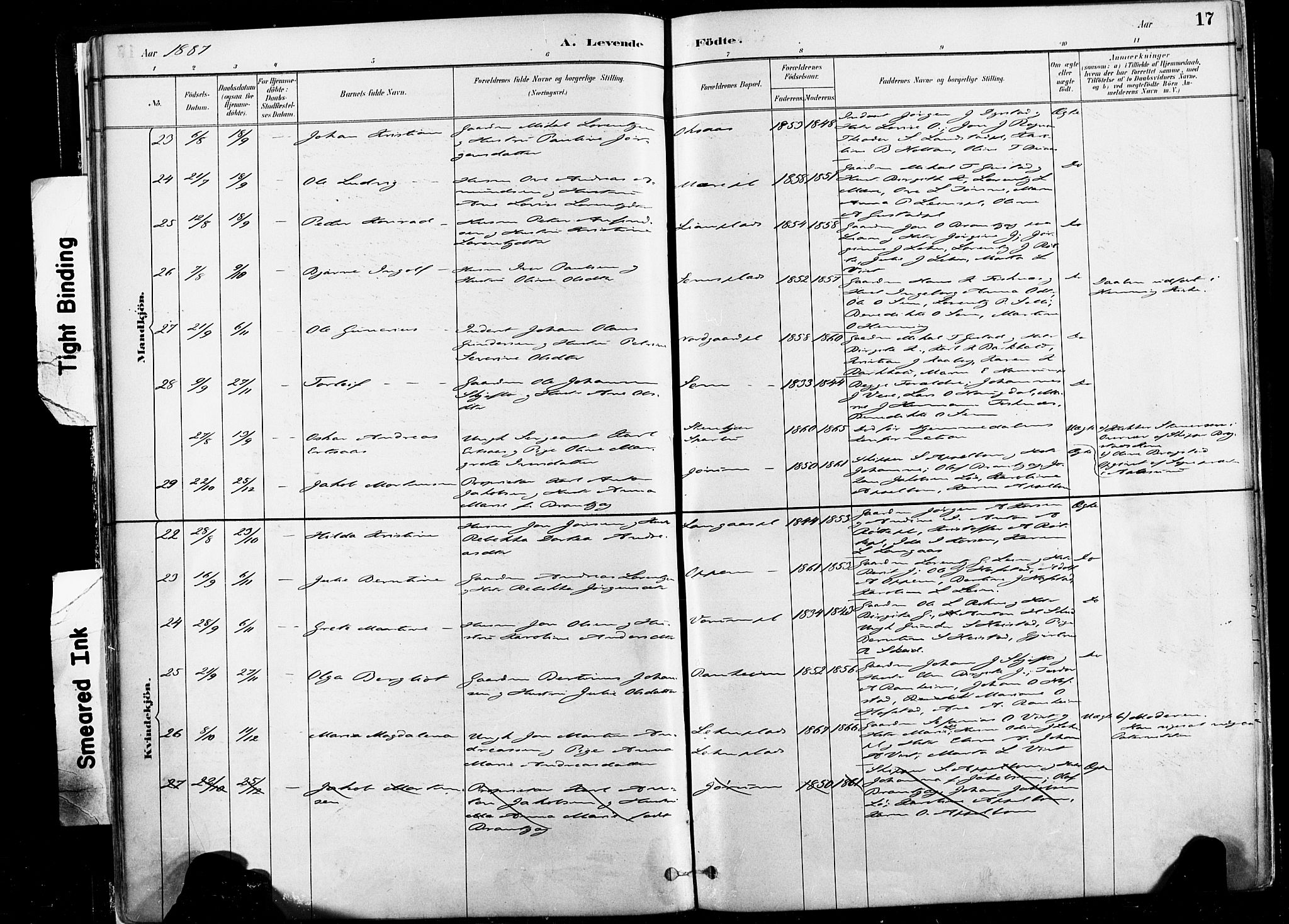 Ministerialprotokoller, klokkerbøker og fødselsregistre - Nord-Trøndelag, AV/SAT-A-1458/735/L0351: Parish register (official) no. 735A10, 1884-1908, p. 17