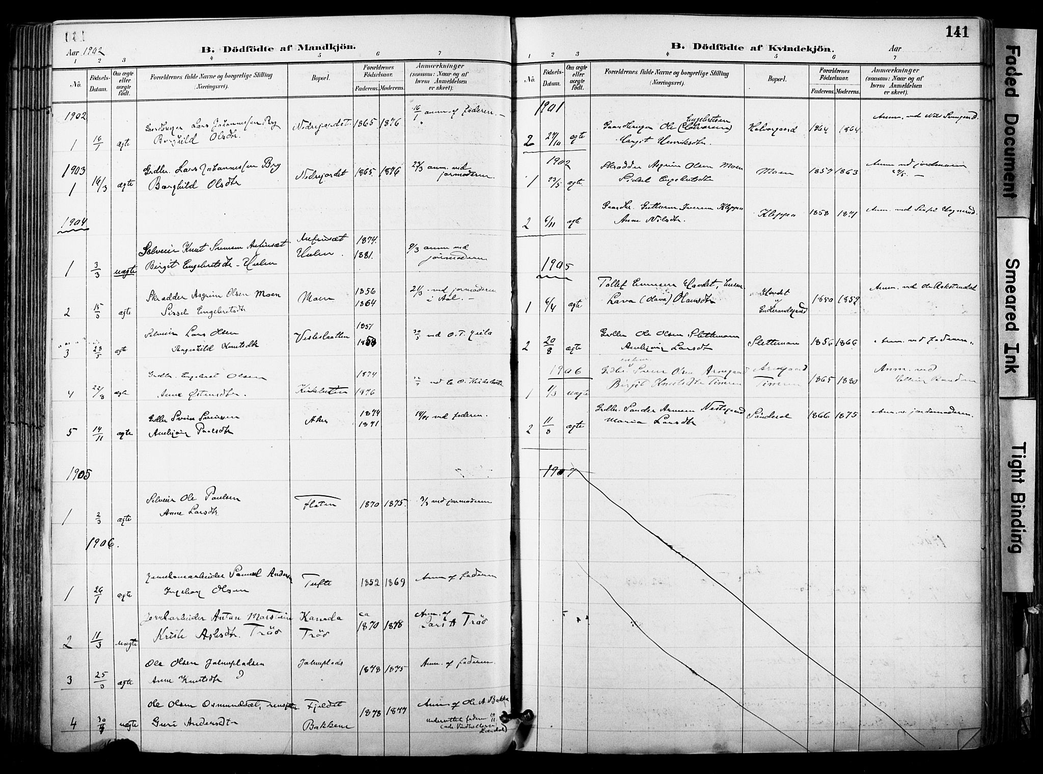 Hol kirkebøker, AV/SAKO-A-227/F/Fa/L0003: Parish register (official) no. I 3, 1887-1918, p. 141