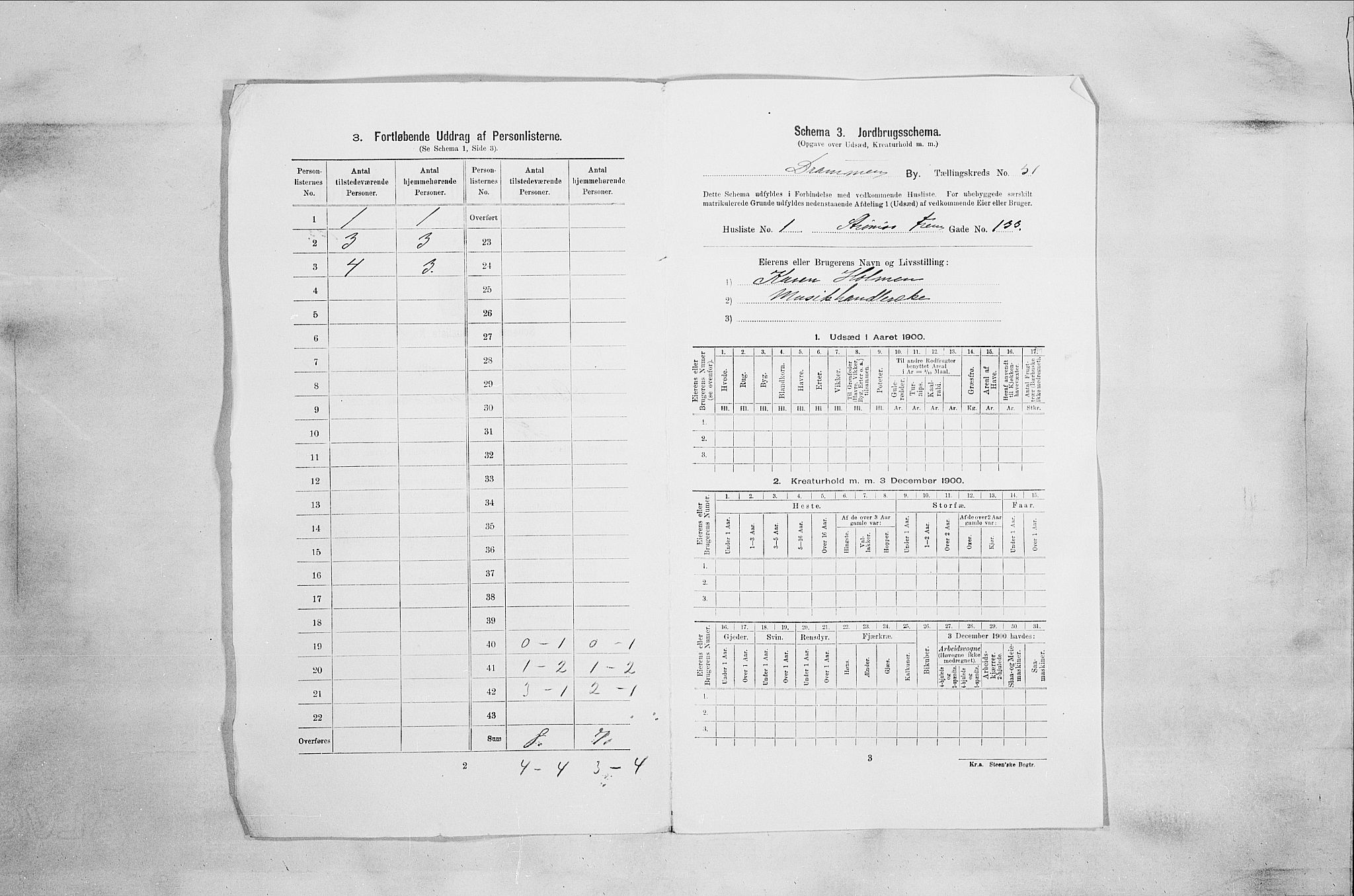 RA, 1900 census for Drammen, 1900, p. 8703