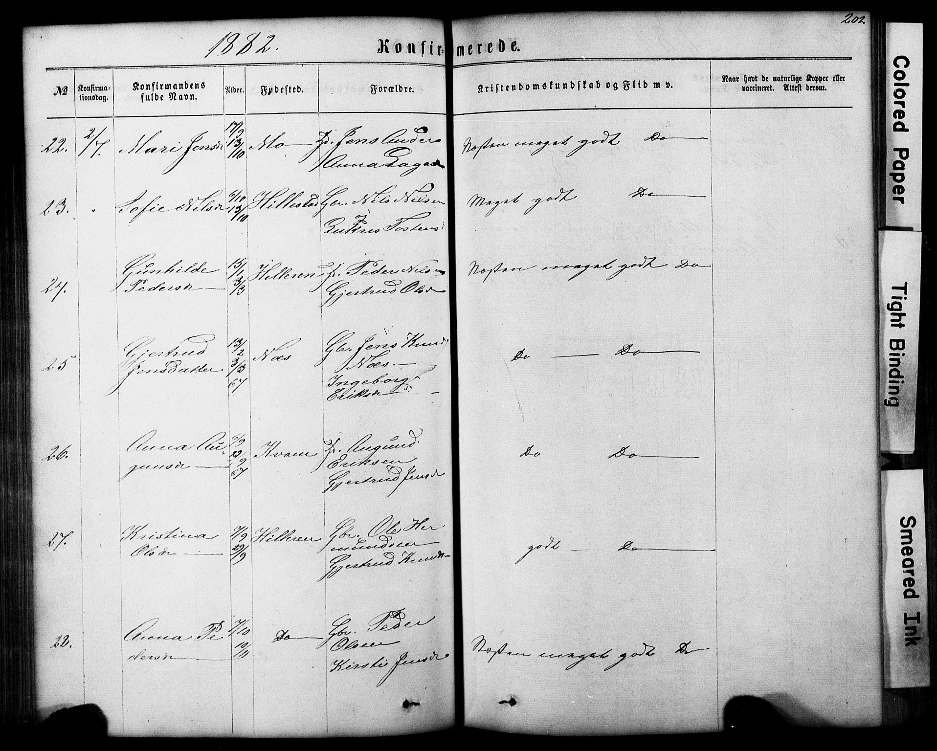 Hafslo sokneprestembete, AV/SAB-A-80301/H/Hab/Haba/L0001: Parish register (copy) no. A 1, 1866-1908, p. 202