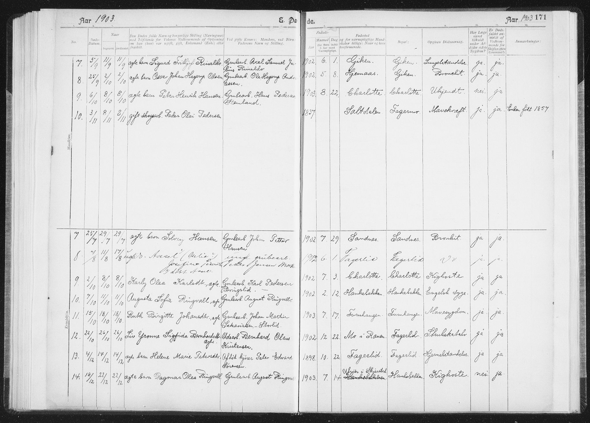 Ministerialprotokoller, klokkerbøker og fødselsregistre - Nordland, SAT/A-1459/850/L0711: Curate's parish register no. 850B01, 1902-1915, p. 171