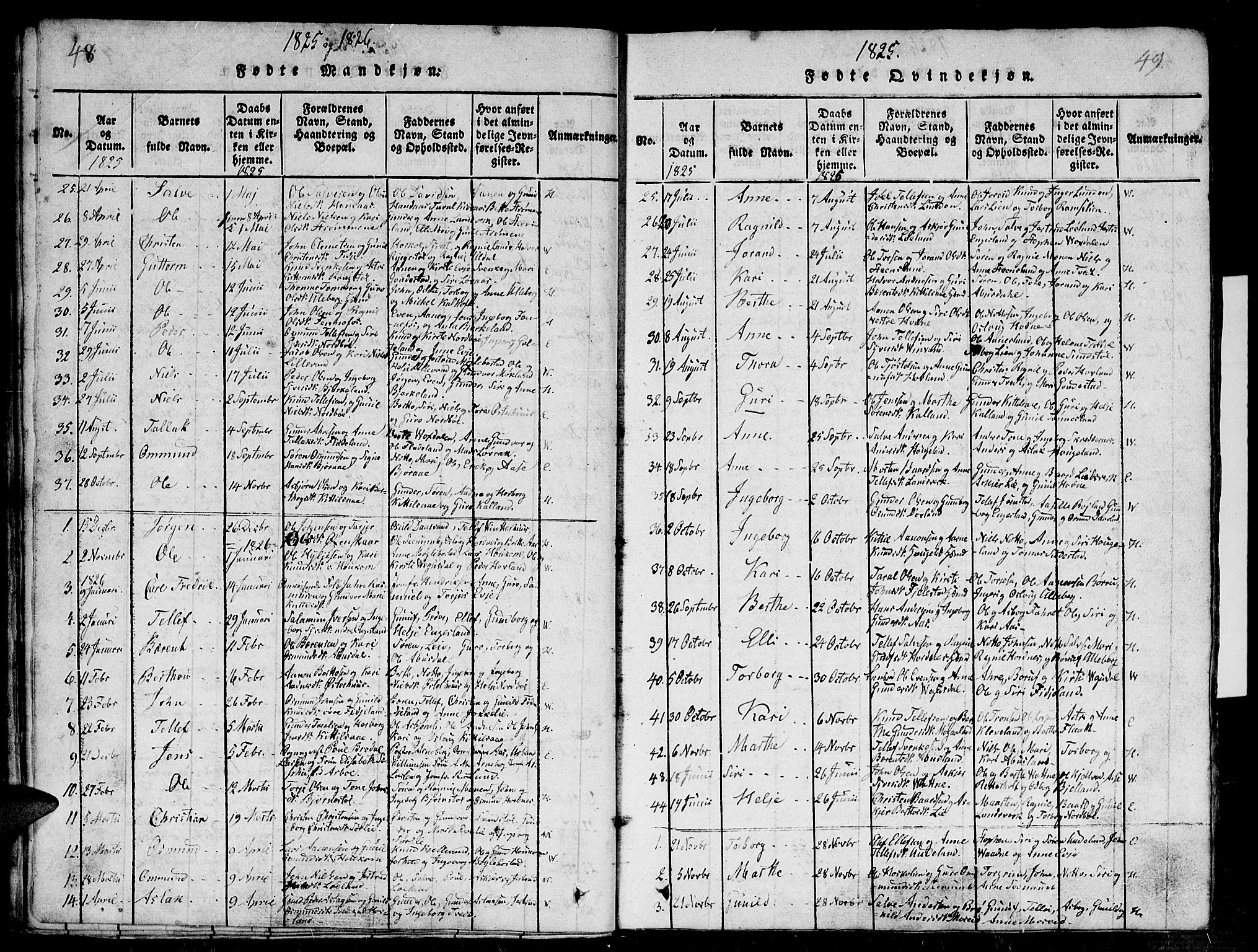 Evje sokneprestkontor, SAK/1111-0008/F/Fb/Fba/L0001: Parish register (copy) no. B 1, 1816-1842, p. 48-49