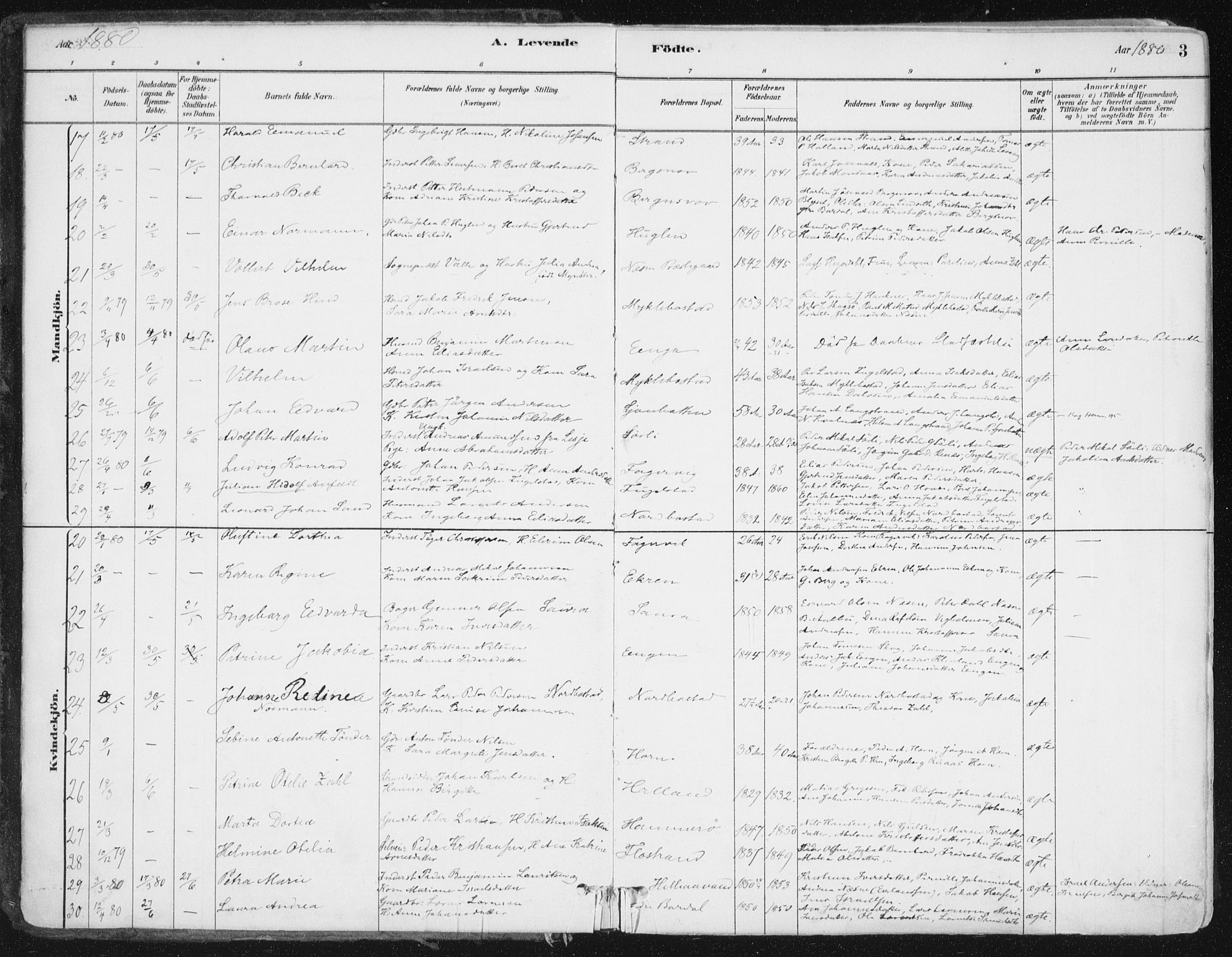 Ministerialprotokoller, klokkerbøker og fødselsregistre - Nordland, AV/SAT-A-1459/838/L0552: Parish register (official) no. 838A10, 1880-1910, p. 3