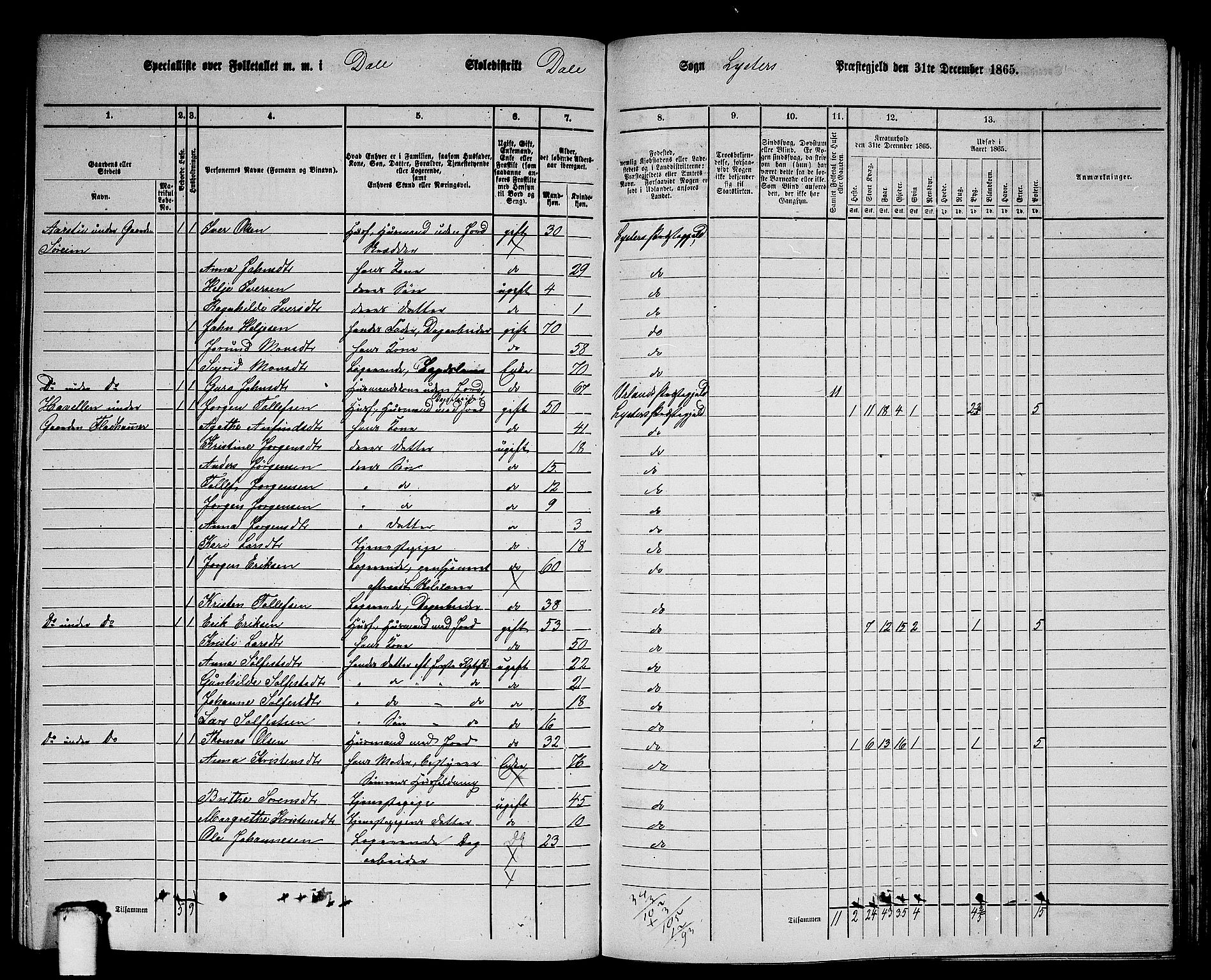 RA, 1865 census for Luster, 1865, p. 105