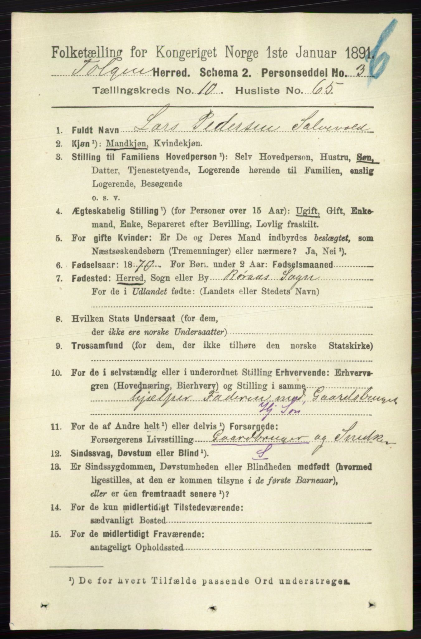 RA, 1891 census for 0436 Tolga, 1891, p. 3049