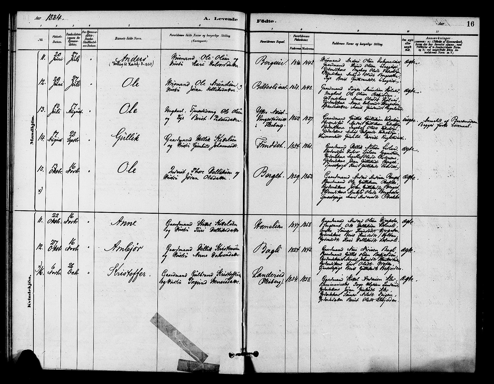 Flesberg kirkebøker, SAKO/A-18/F/Fc/L0001: Parish register (official) no. III 1, 1879-1905, p. 16