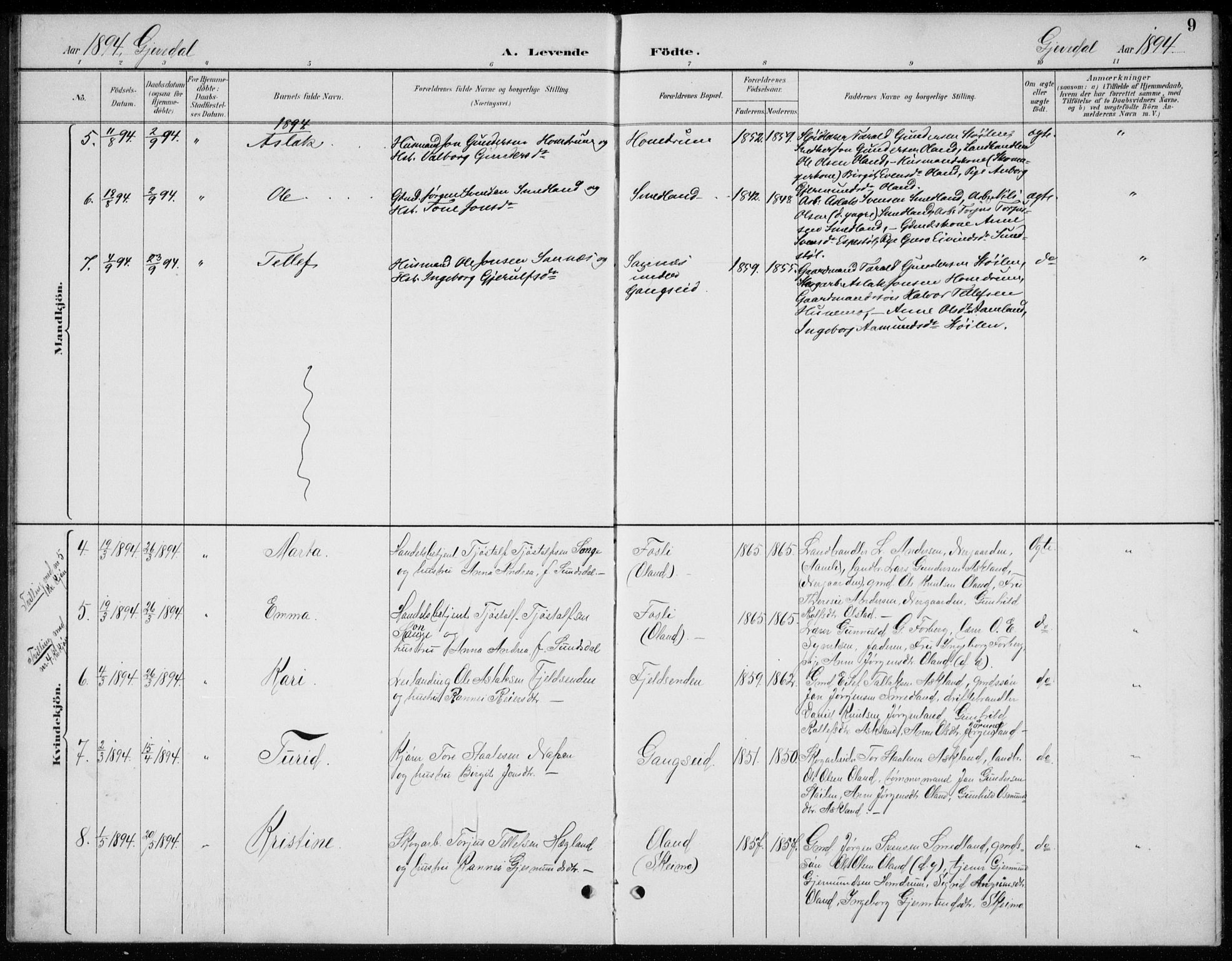 Åmli sokneprestkontor, AV/SAK-1111-0050/F/Fb/Fba/L0002: Parish register (copy) no. B 2, 1890-1912, p. 9