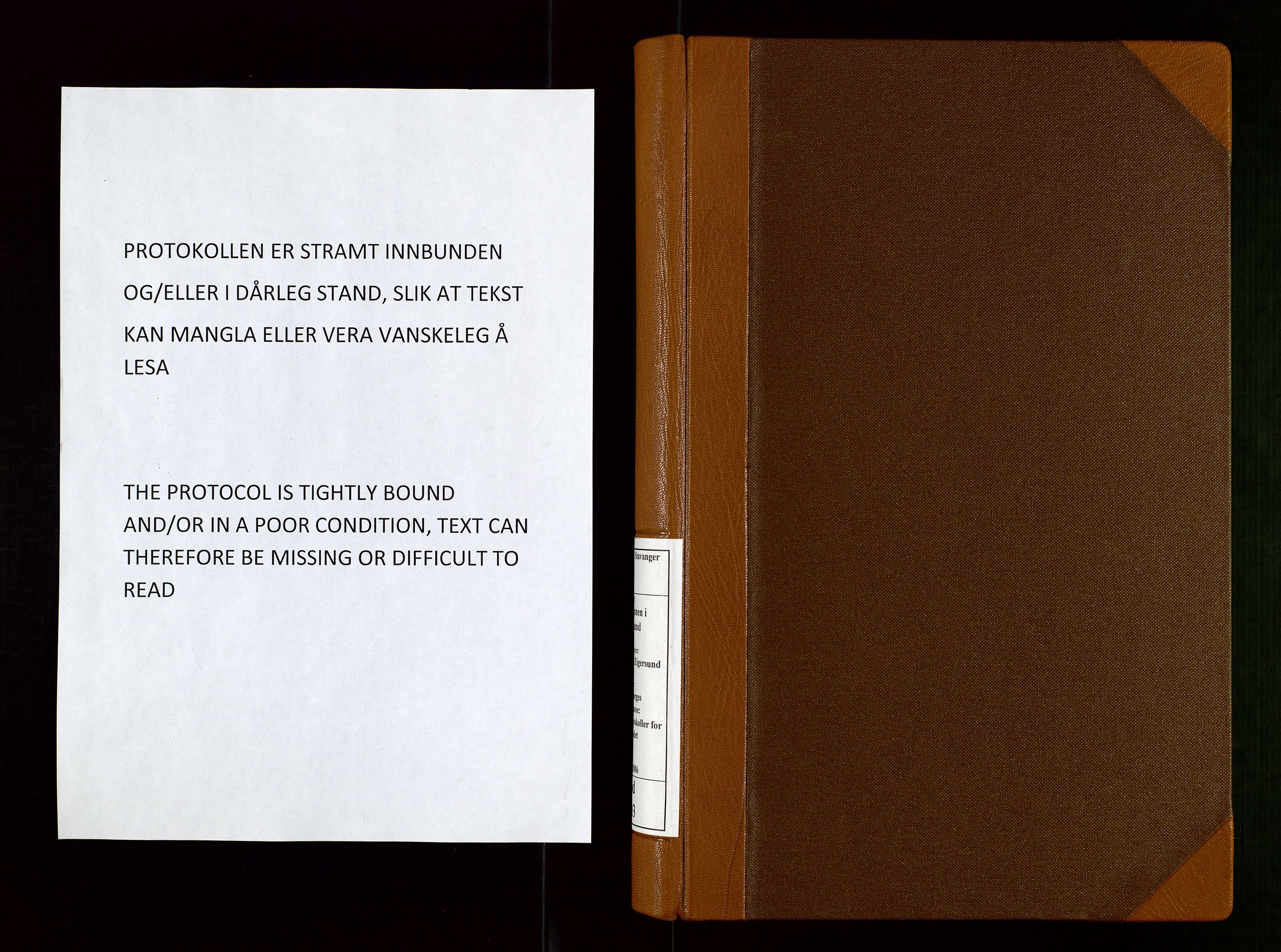 Eigersund lensmannskontor, AV/SAST-A-100171/God/L0003: "Brandtaxationsprotokol", 1874-1886