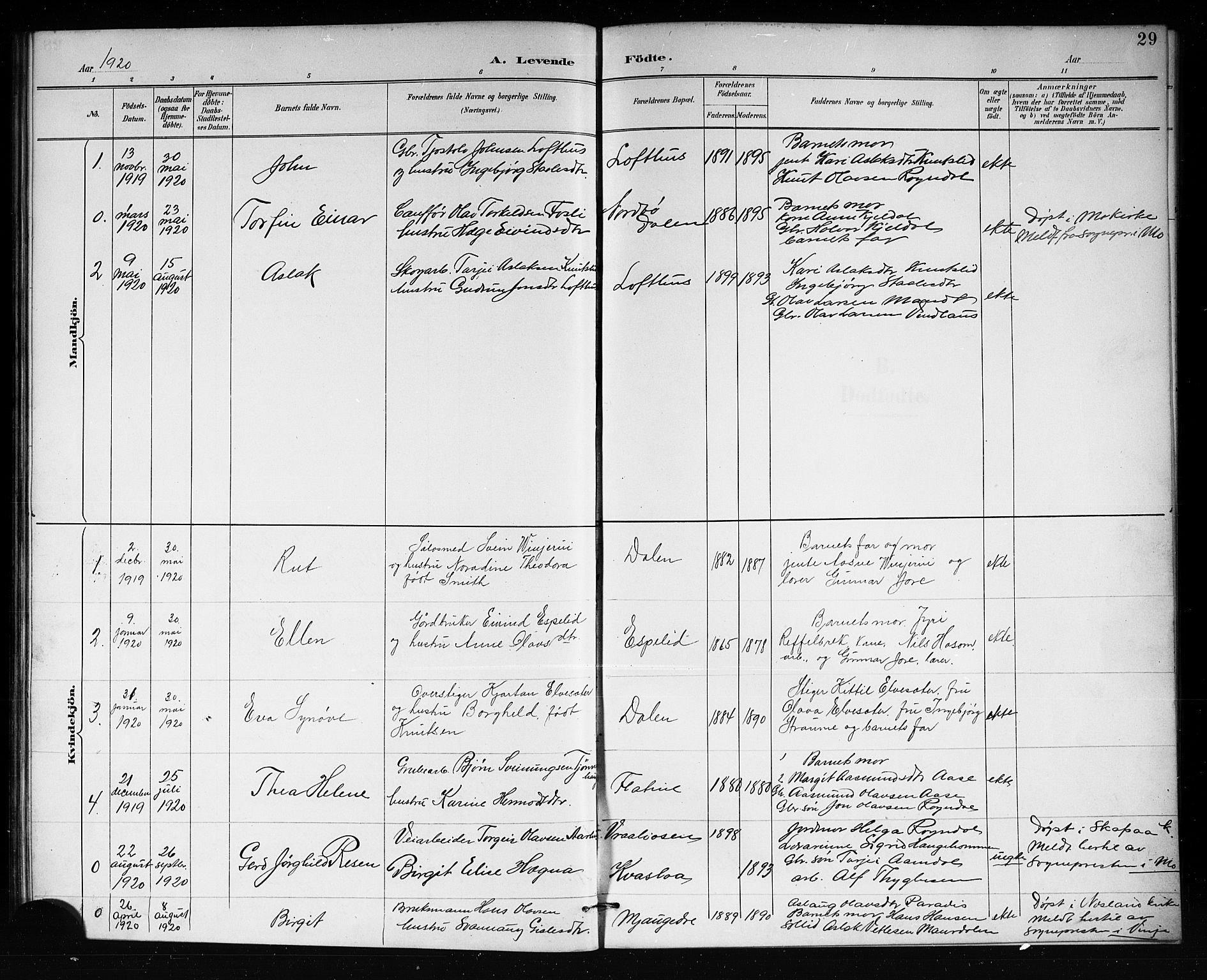 Lårdal kirkebøker, SAKO/A-284/G/Gb/L0003: Parish register (copy) no. II 3, 1889-1920, p. 29