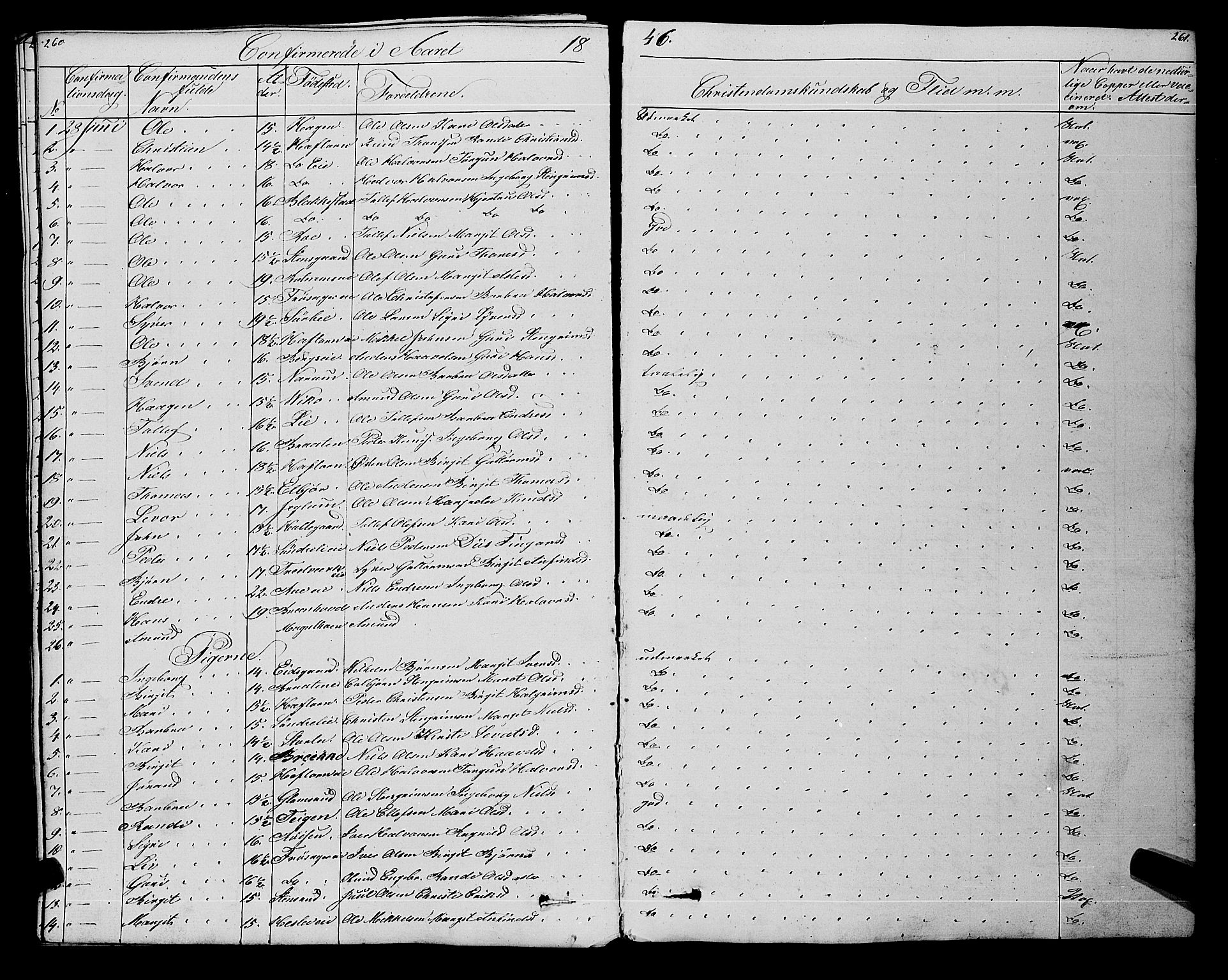 Gol kirkebøker, SAKO/A-226/F/Fa/L0002: Parish register (official) no. I 2, 1837-1863, p. 260-261