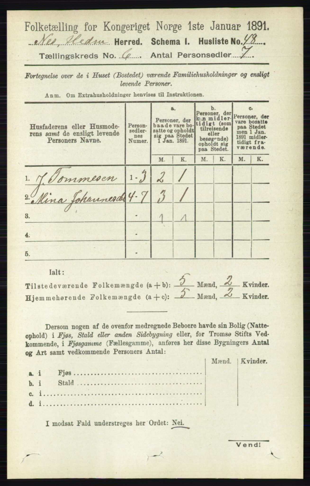 RA, 1891 census for 0411 Nes, 1891, p. 3216