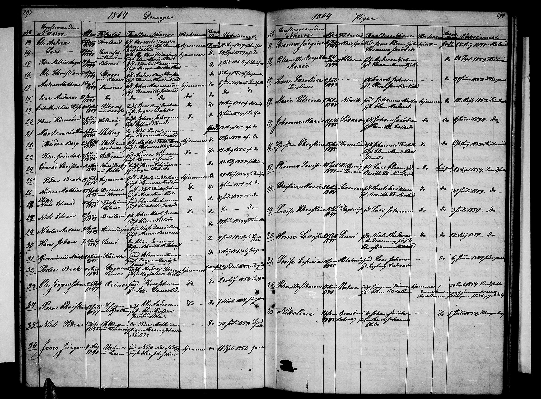 Ministerialprotokoller, klokkerbøker og fødselsregistre - Nordland, AV/SAT-A-1459/831/L0475: Parish register (copy) no. 831C02, 1851-1865, p. 293-294