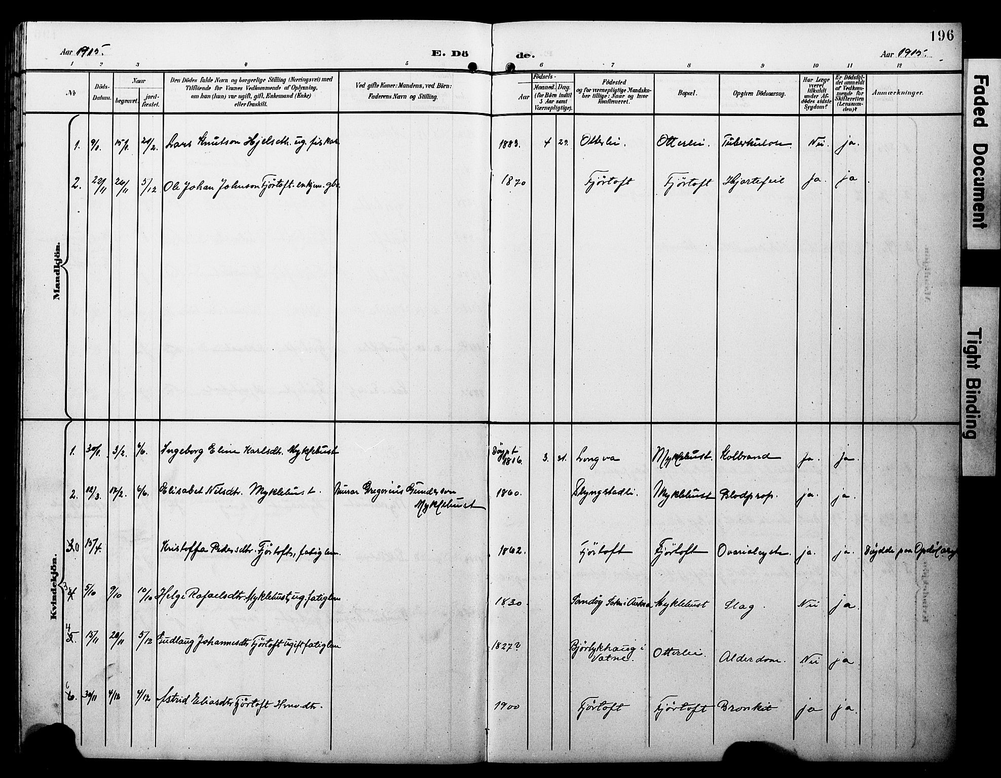 Ministerialprotokoller, klokkerbøker og fødselsregistre - Møre og Romsdal, AV/SAT-A-1454/538/L0524: Parish register (copy) no. 538C02, 1901-1931, p. 196