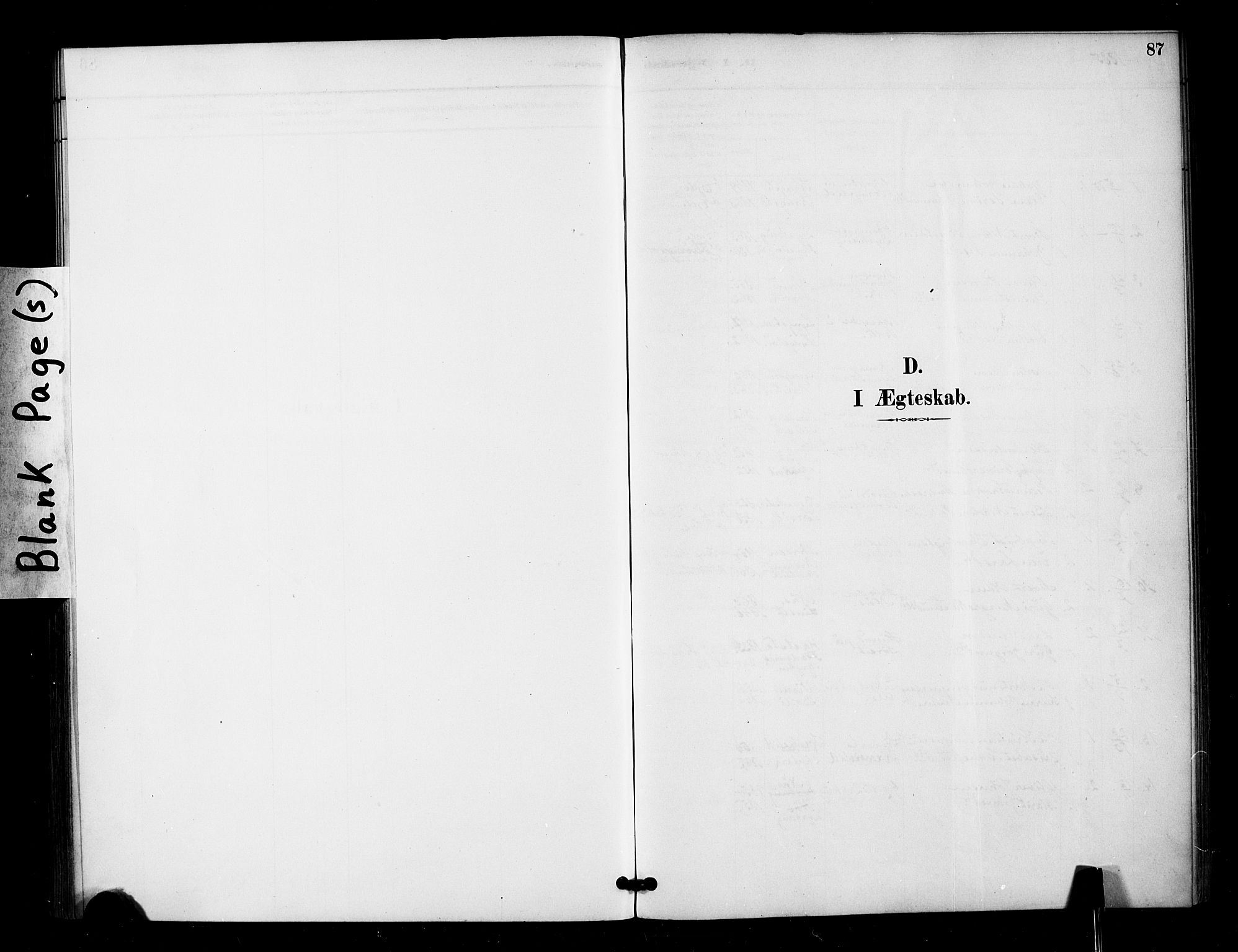 Ministerialprotokoller, klokkerbøker og fødselsregistre - Møre og Romsdal, SAT/A-1454/571/L0836: Parish register (official) no. 571A01, 1884-1899, p. 87