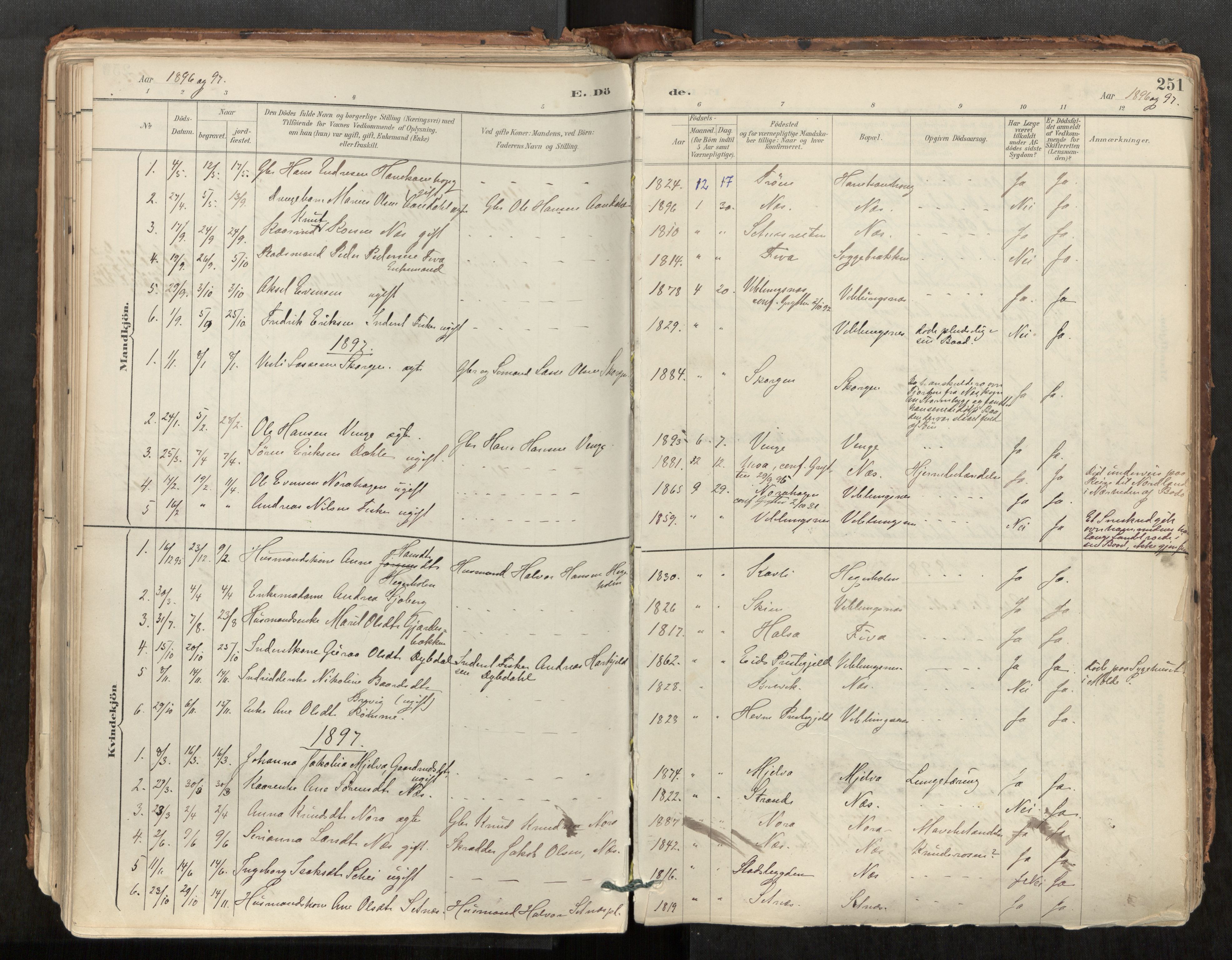 Ministerialprotokoller, klokkerbøker og fødselsregistre - Møre og Romsdal, AV/SAT-A-1454/544/L0585: Parish register (official) no. 544A06, 1887-1924, p. 251