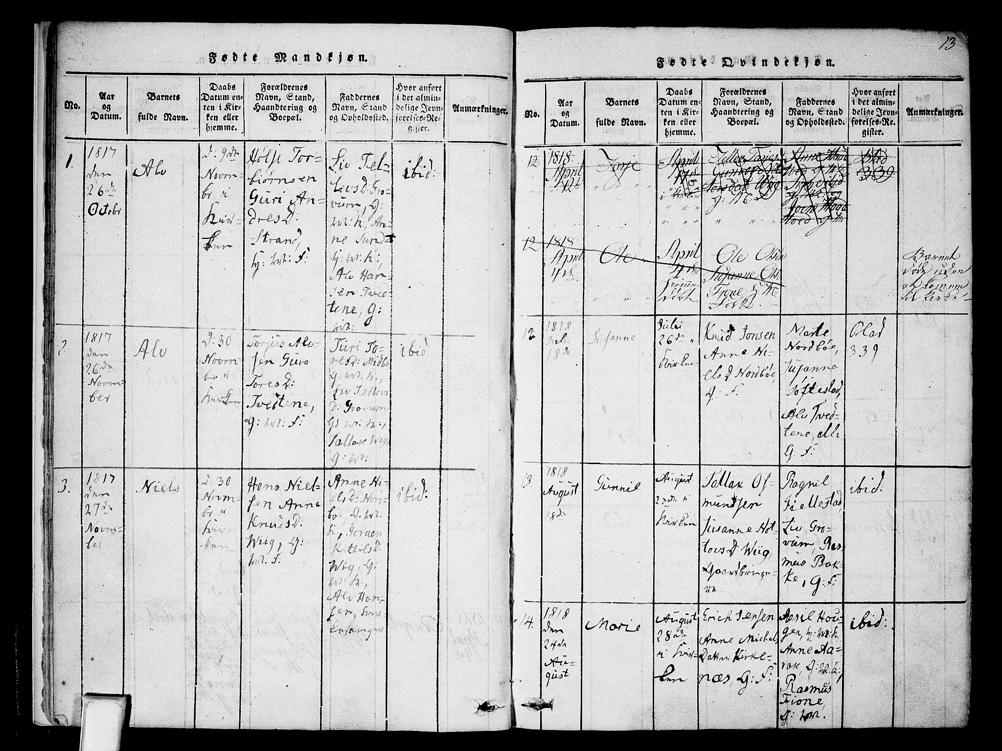 Nissedal kirkebøker, AV/SAKO-A-288/F/Fa/L0002: Parish register (official) no. I 2, 1814-1845, p. 13