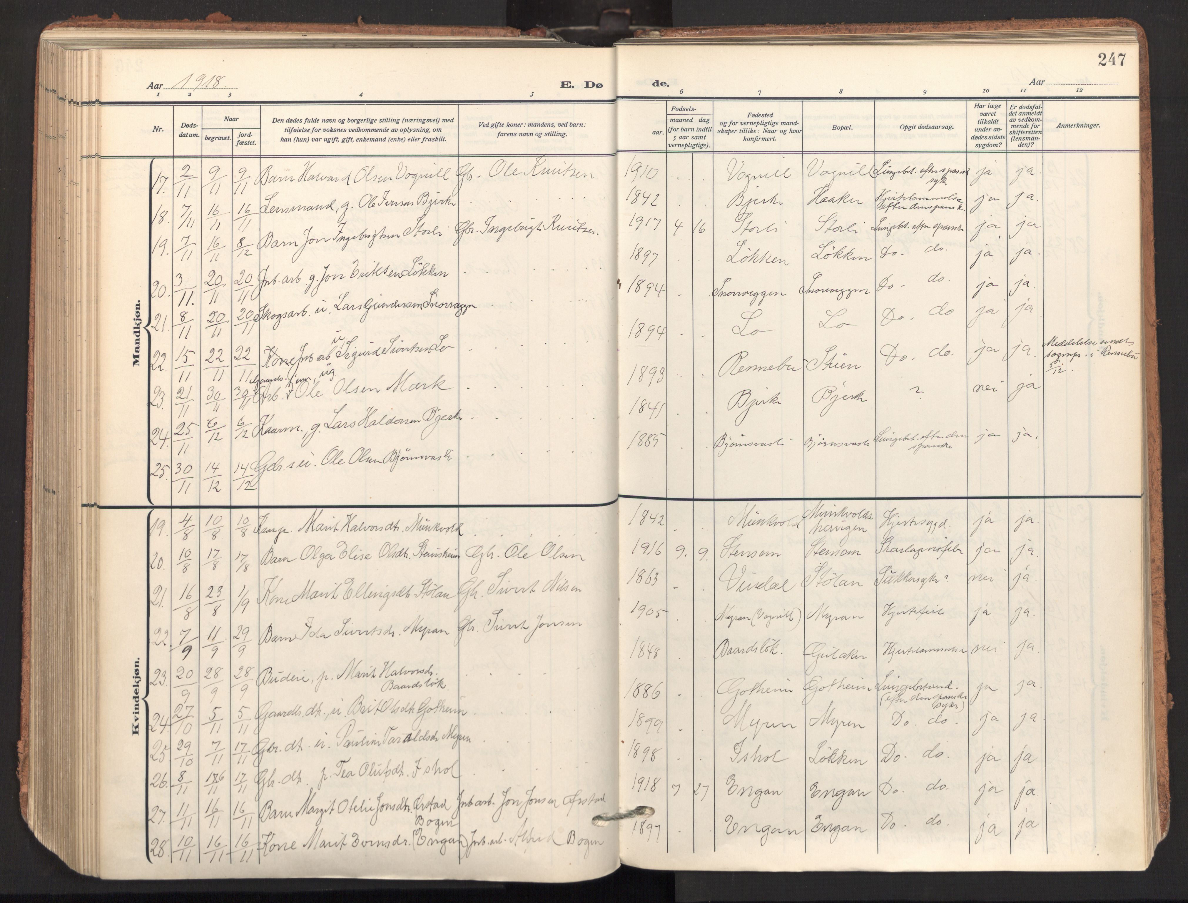 Ministerialprotokoller, klokkerbøker og fødselsregistre - Sør-Trøndelag, AV/SAT-A-1456/678/L0909: Parish register (official) no. 678A17, 1912-1930, p. 247