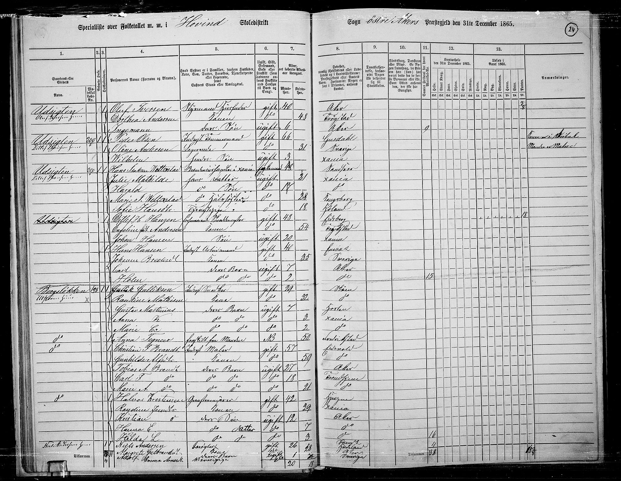 RA, 1865 census for Østre Aker, 1865, p. 248