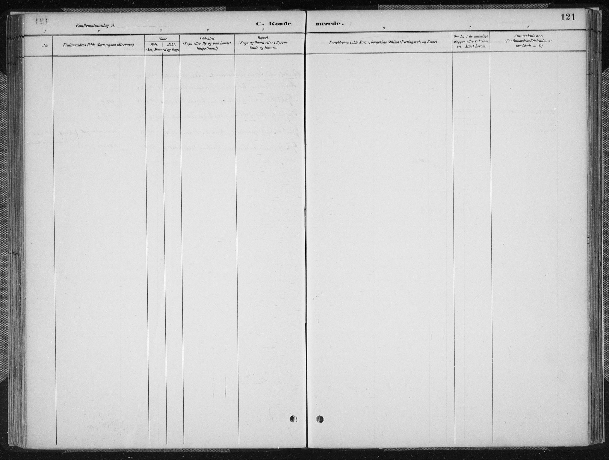 Birkenes sokneprestkontor, AV/SAK-1111-0004/F/Fa/L0005: Parish register (official) no. A 5, 1887-1907, p. 121