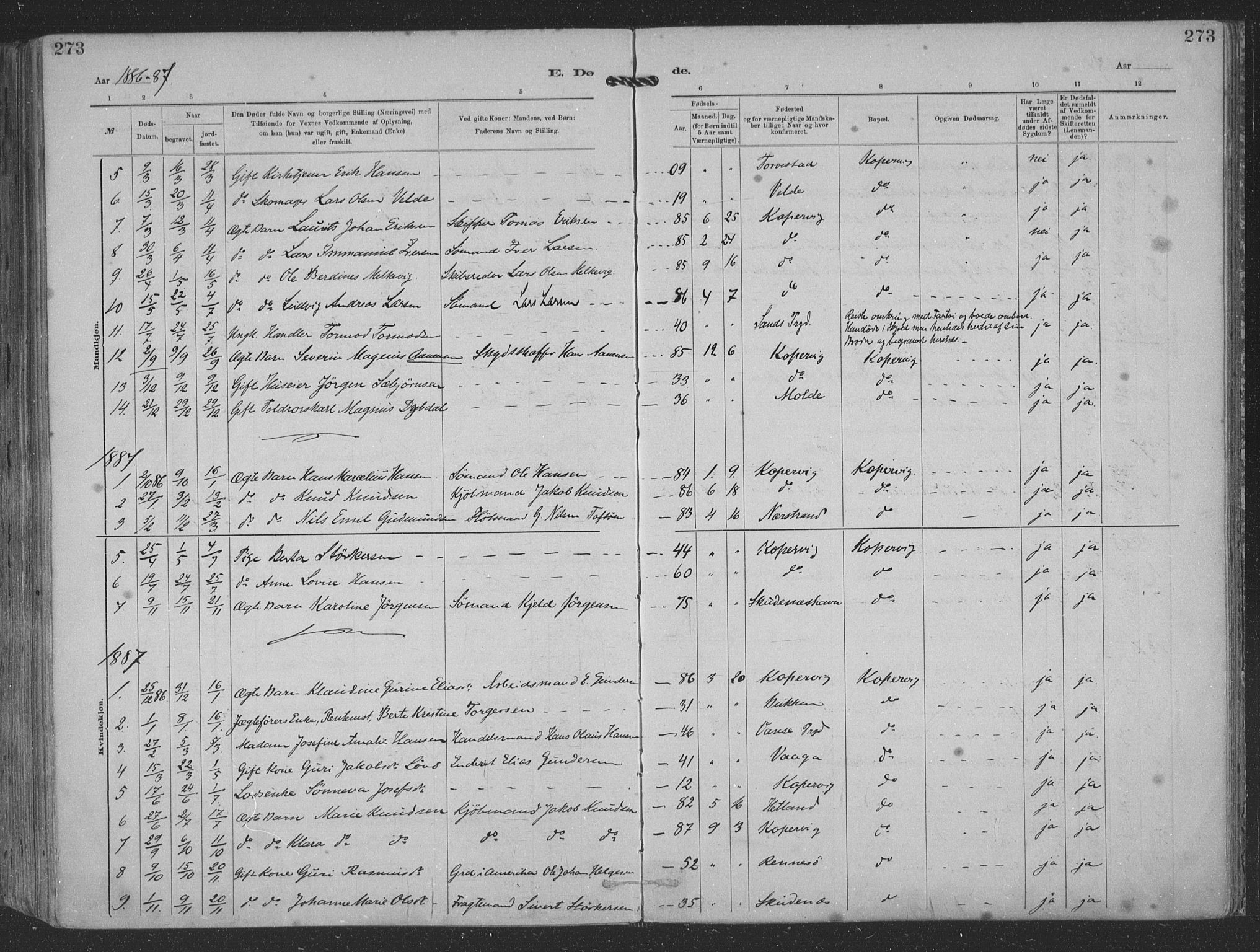 Kopervik sokneprestkontor, SAST/A-101850/H/Ha/Haa/L0001: Parish register (official) no. A 1, 1880-1919, p. 273