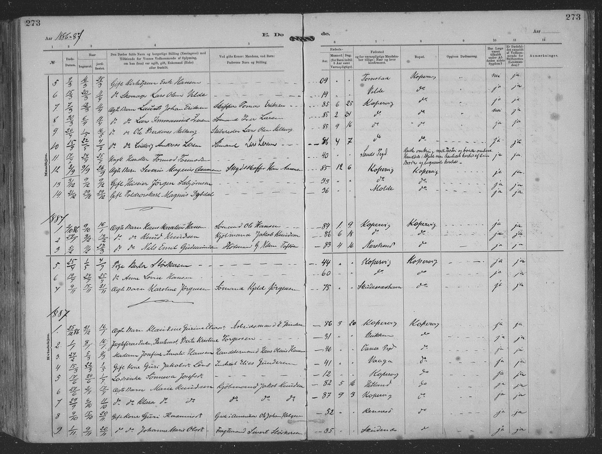 Kopervik sokneprestkontor, AV/SAST-A-101850/H/Ha/Haa/L0001: Parish register (official) no. A 1, 1880-1919, p. 273