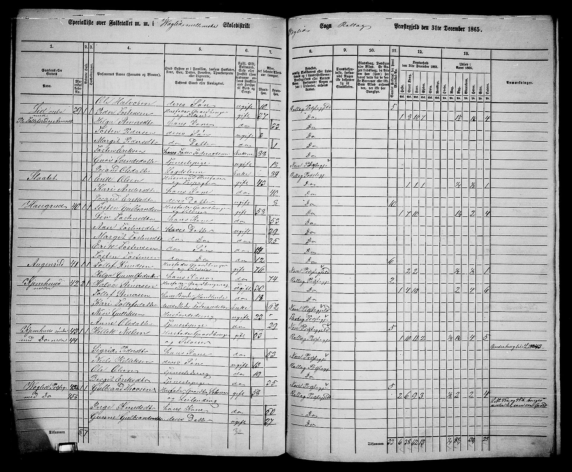 RA, 1865 census for Rollag, 1865, p. 60