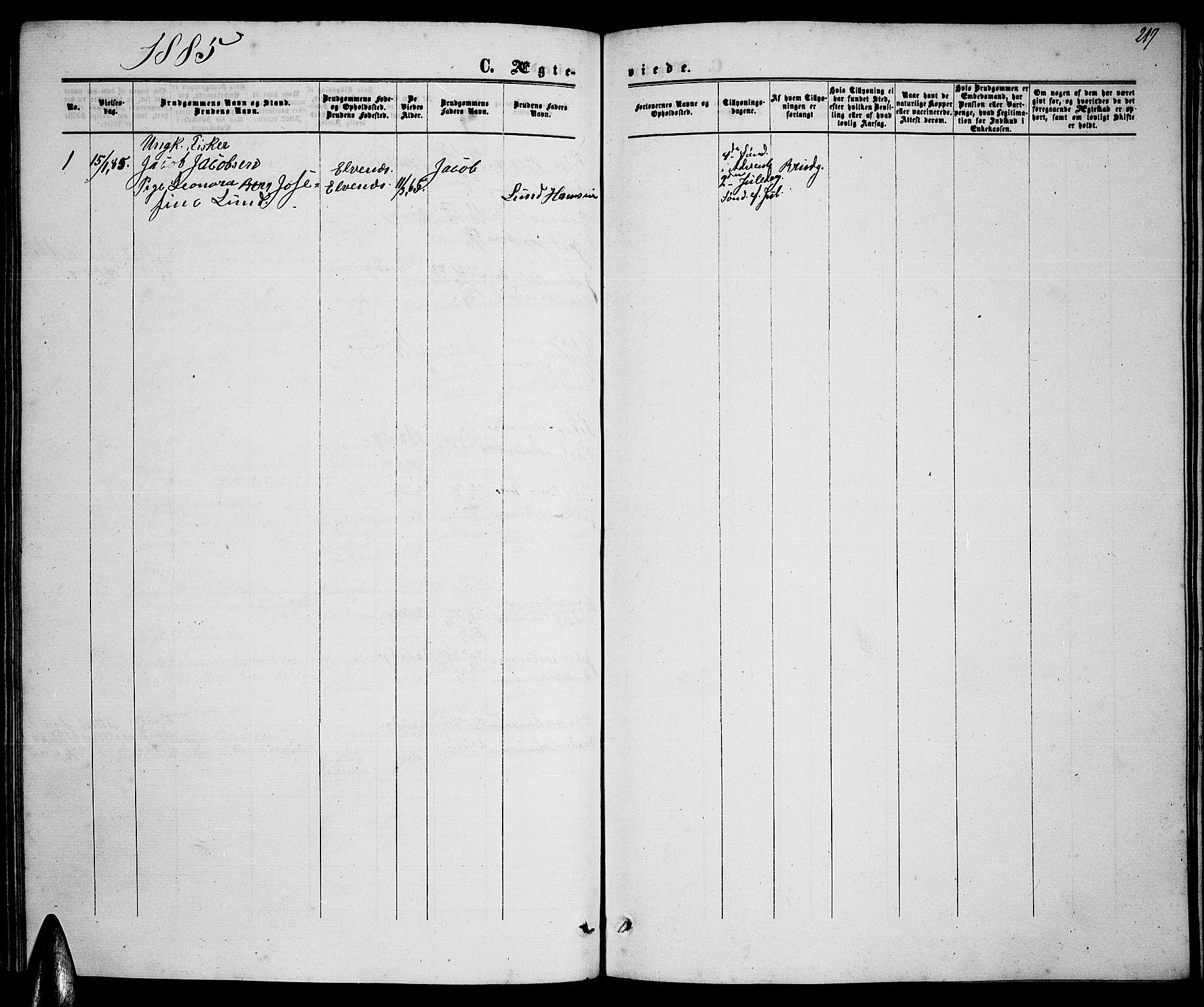 Ministerialprotokoller, klokkerbøker og fødselsregistre - Nordland, AV/SAT-A-1459/895/L1381: Parish register (copy) no. 895C03, 1864-1885, p. 217