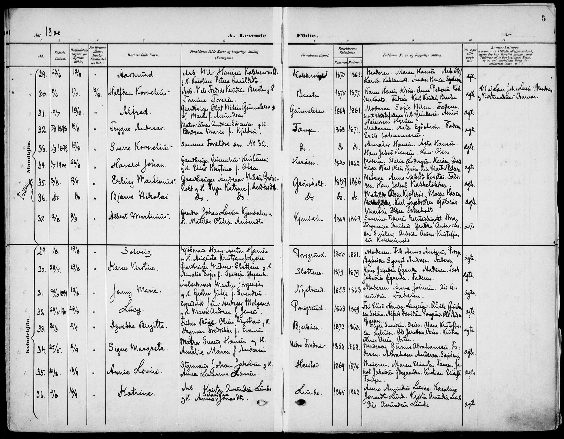 Eidanger kirkebøker, AV/SAKO-A-261/F/Fa/L0013: Parish register (official) no. 13, 1900-1913, p. 5