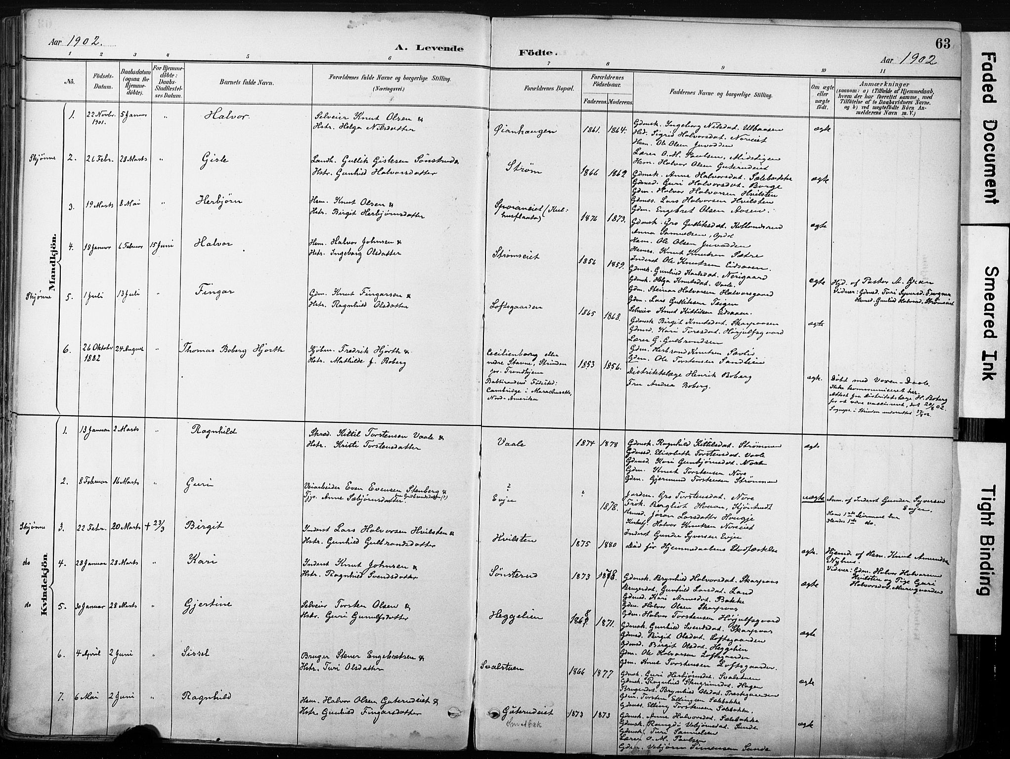 Nore kirkebøker, SAKO/A-238/F/Fb/L0002: Parish register (official) no. II 2, 1886-1906, p. 63