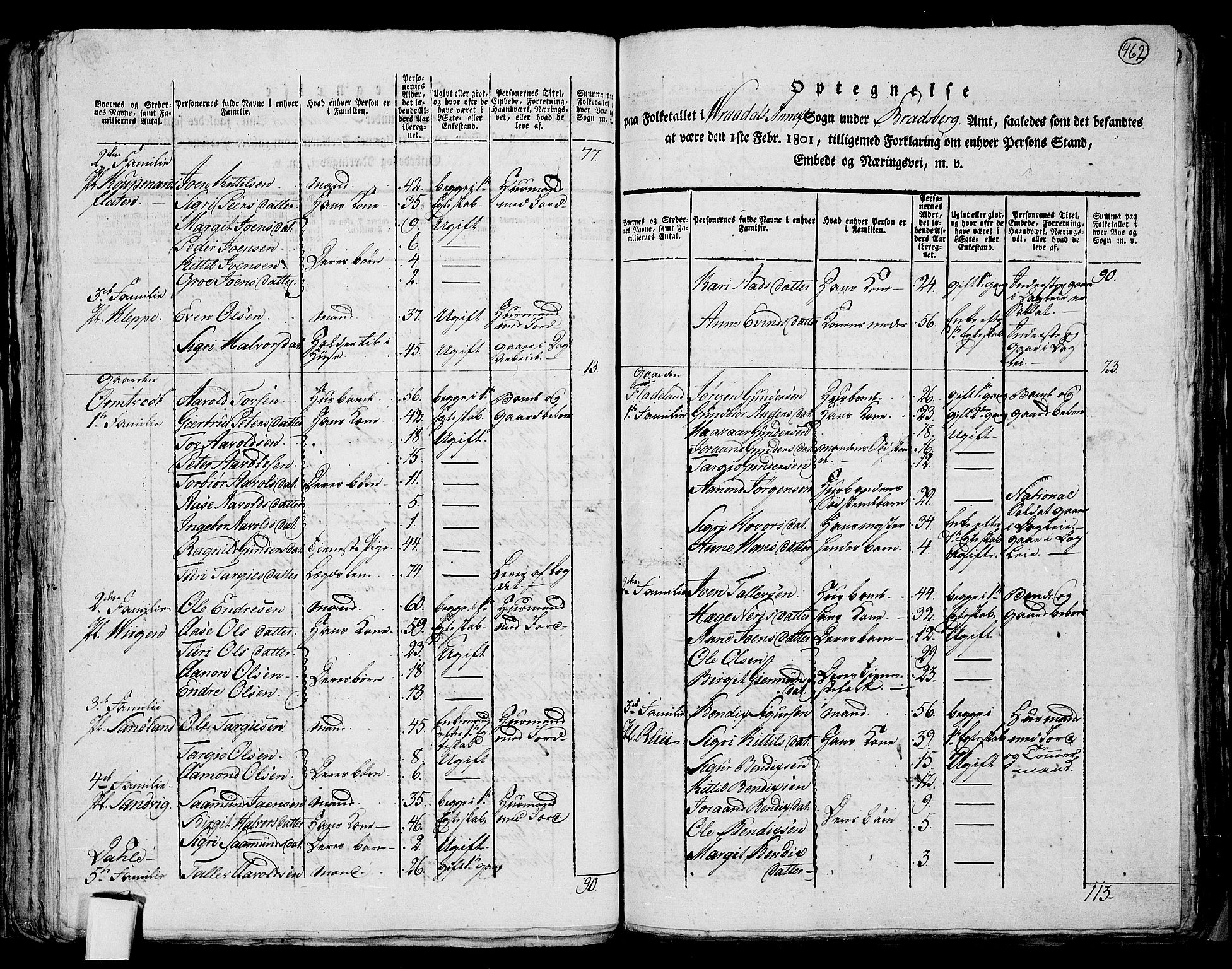 RA, 1801 census for 0829P Kviteseid, 1801, p. 461b-462a