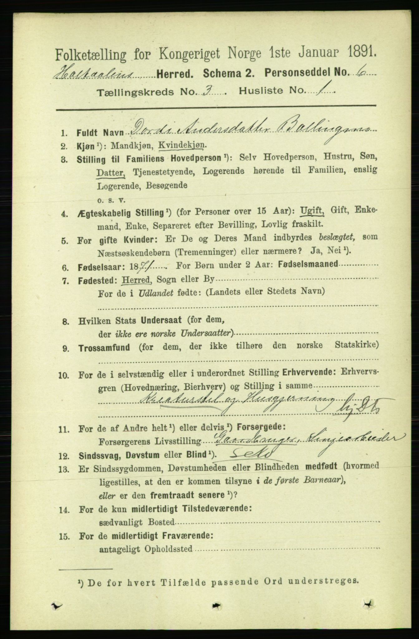 RA, 1891 census for 1645 Haltdalen, 1891, p. 843