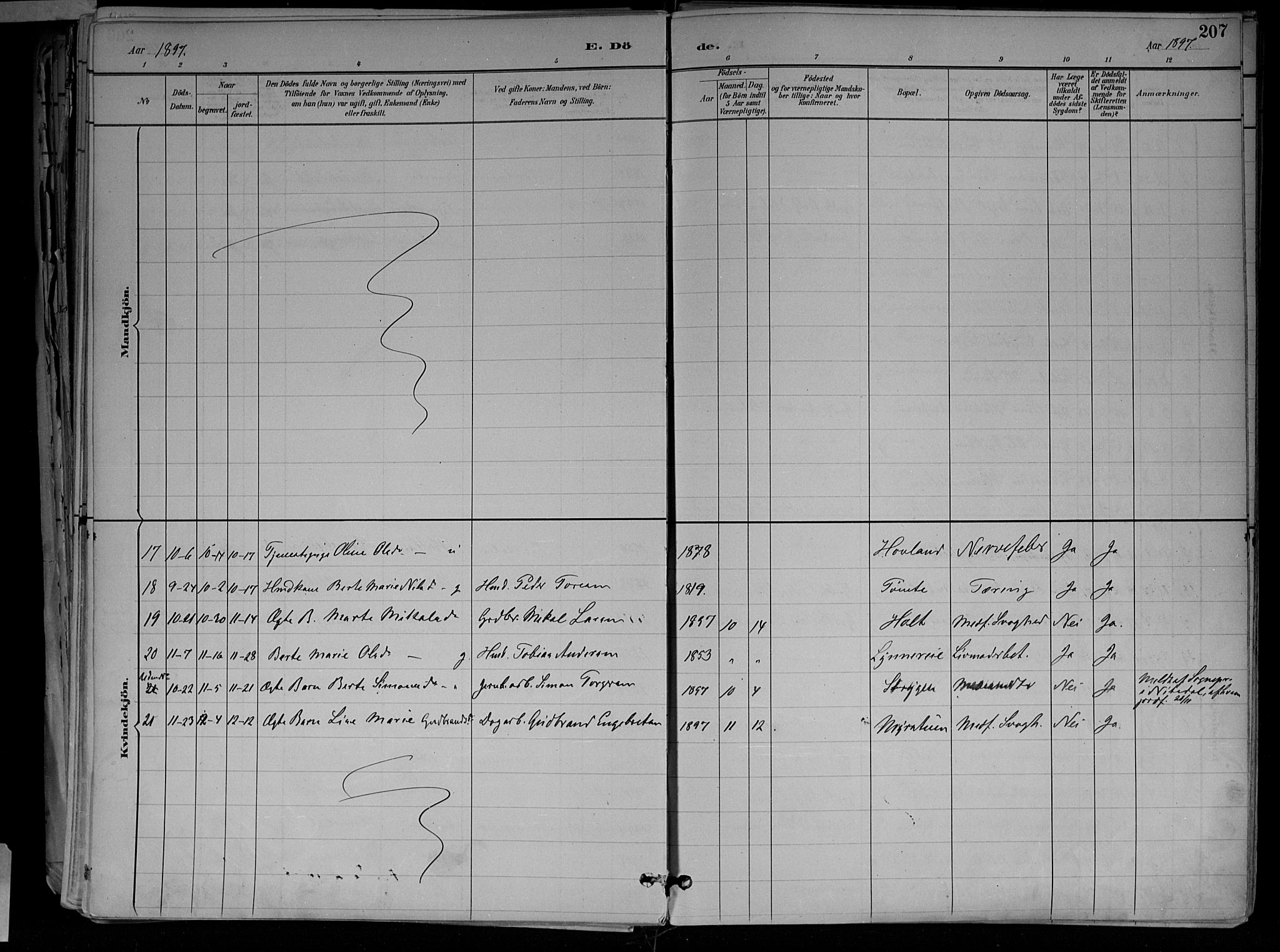 Jevnaker prestekontor, SAH/PREST-116/H/Ha/Haa/L0010: Parish register (official) no. 10, 1891-1906, p. 207