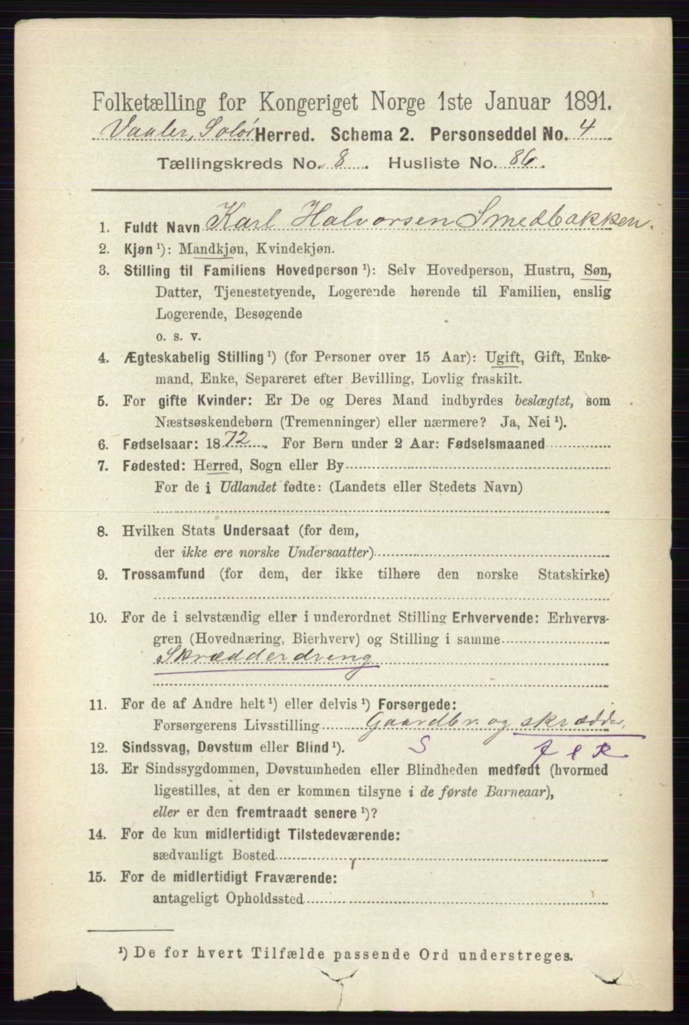 RA, 1891 census for 0426 Våler, 1891, p. 3808