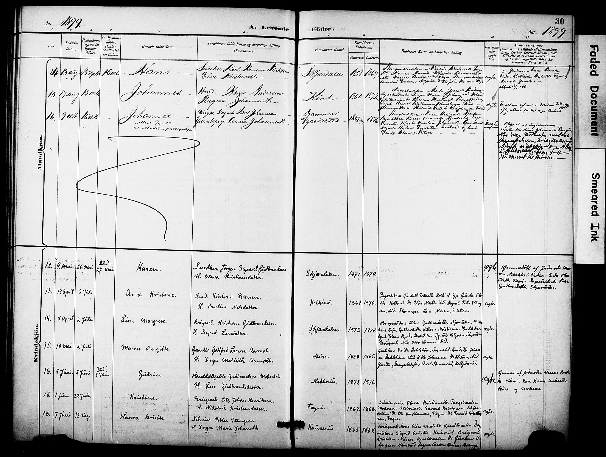 Hole kirkebøker, AV/SAKO-A-228/F/Fb/L0002: Parish register (official) no. II 2, 1892-1906, p. 30